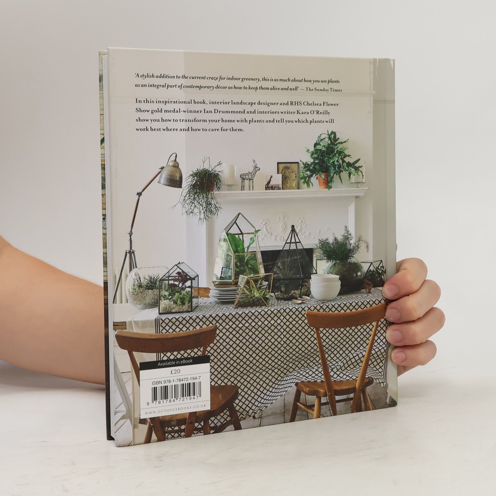 Kara O. Reilly At Home with Plants