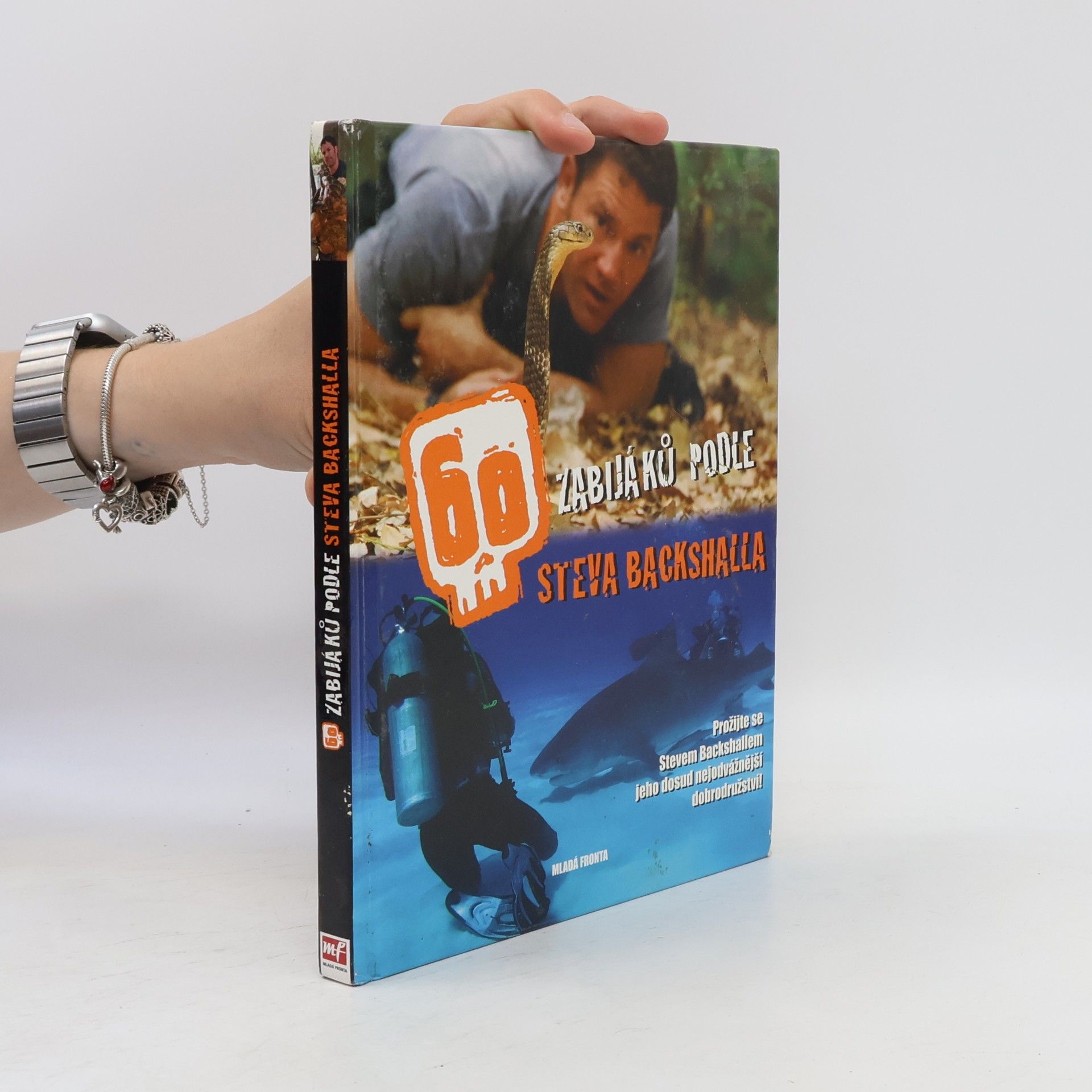 60 zabijáků podle Steva Backshalla