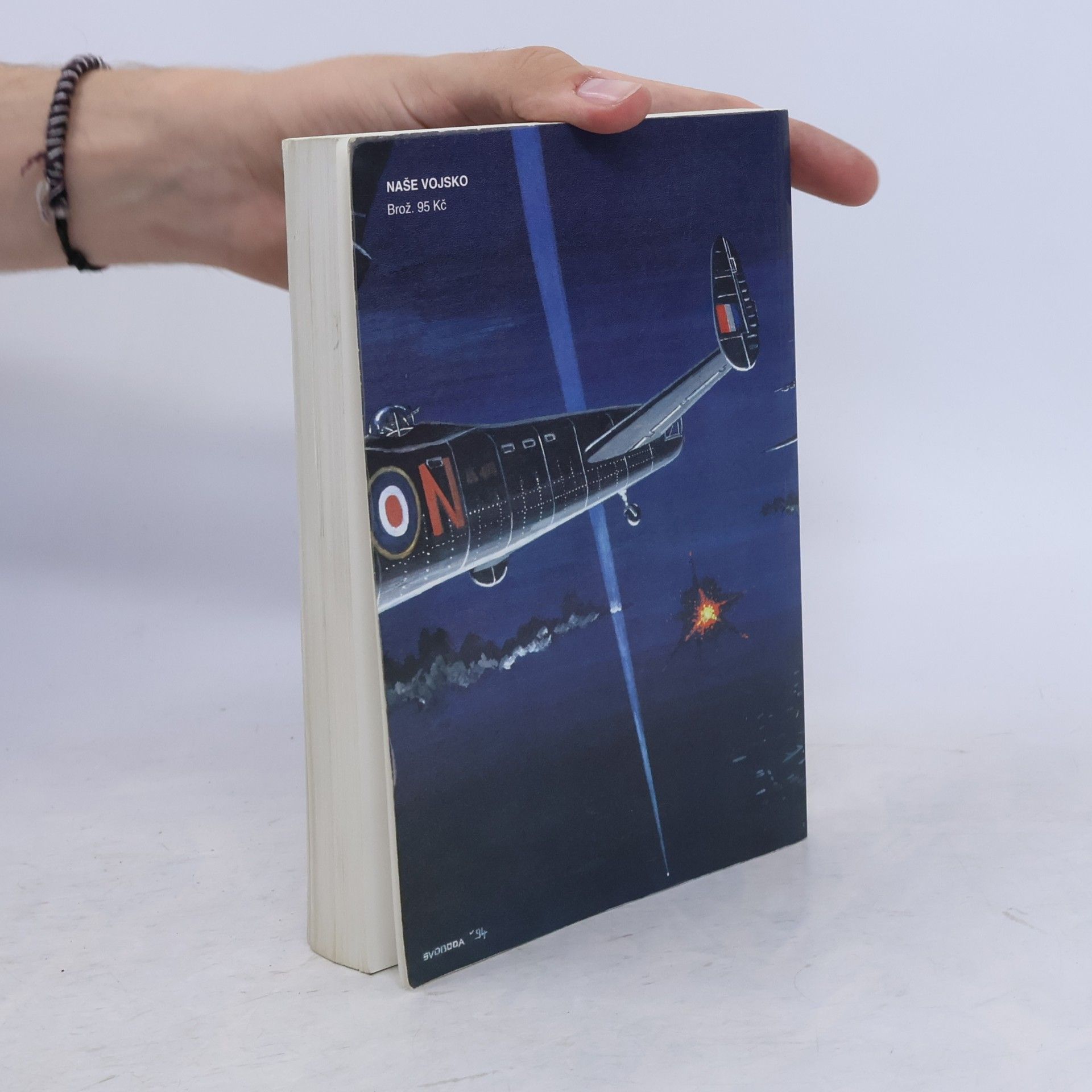 Max Hastings Velitelství bombardovacího letectva