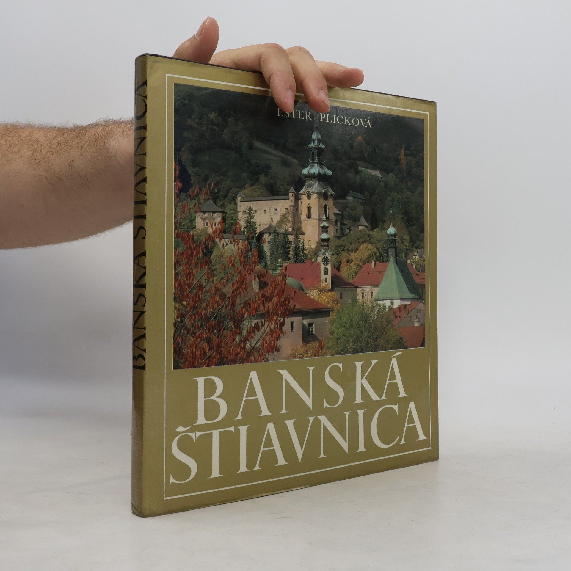 Plicková Ester Banská Štiavnica