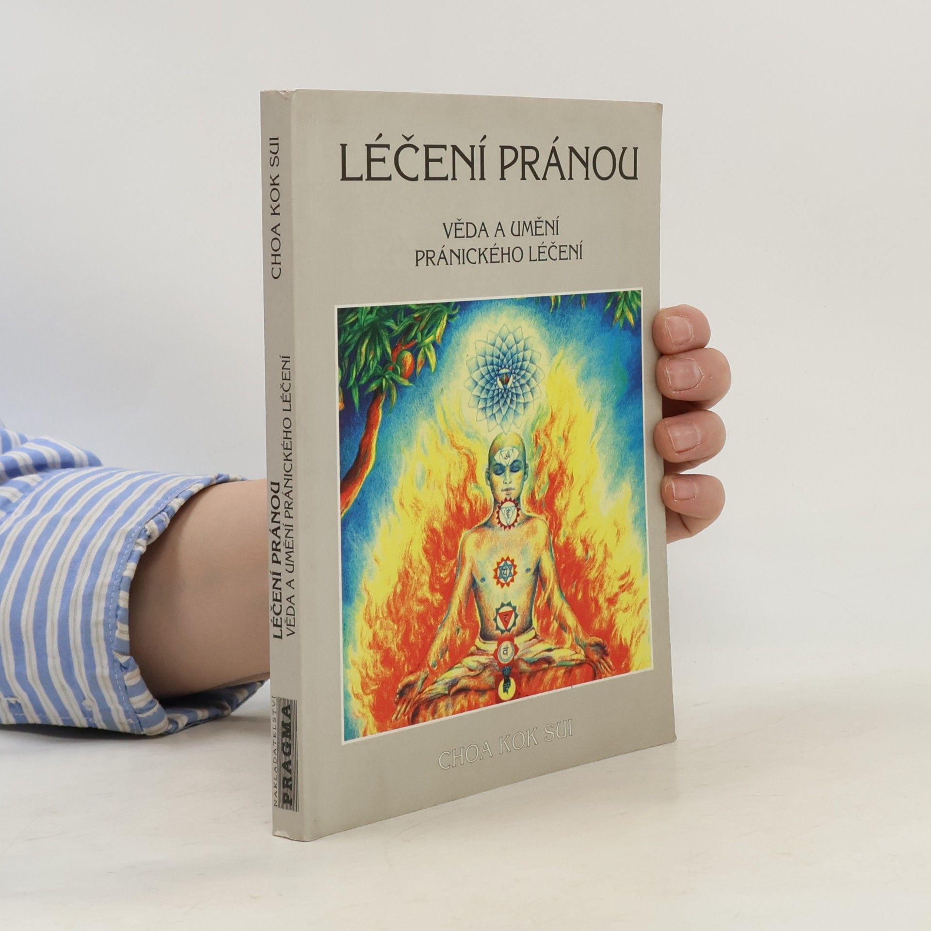 Ivan Prokeš Léčení pránou: Věda a umění pránického léčení