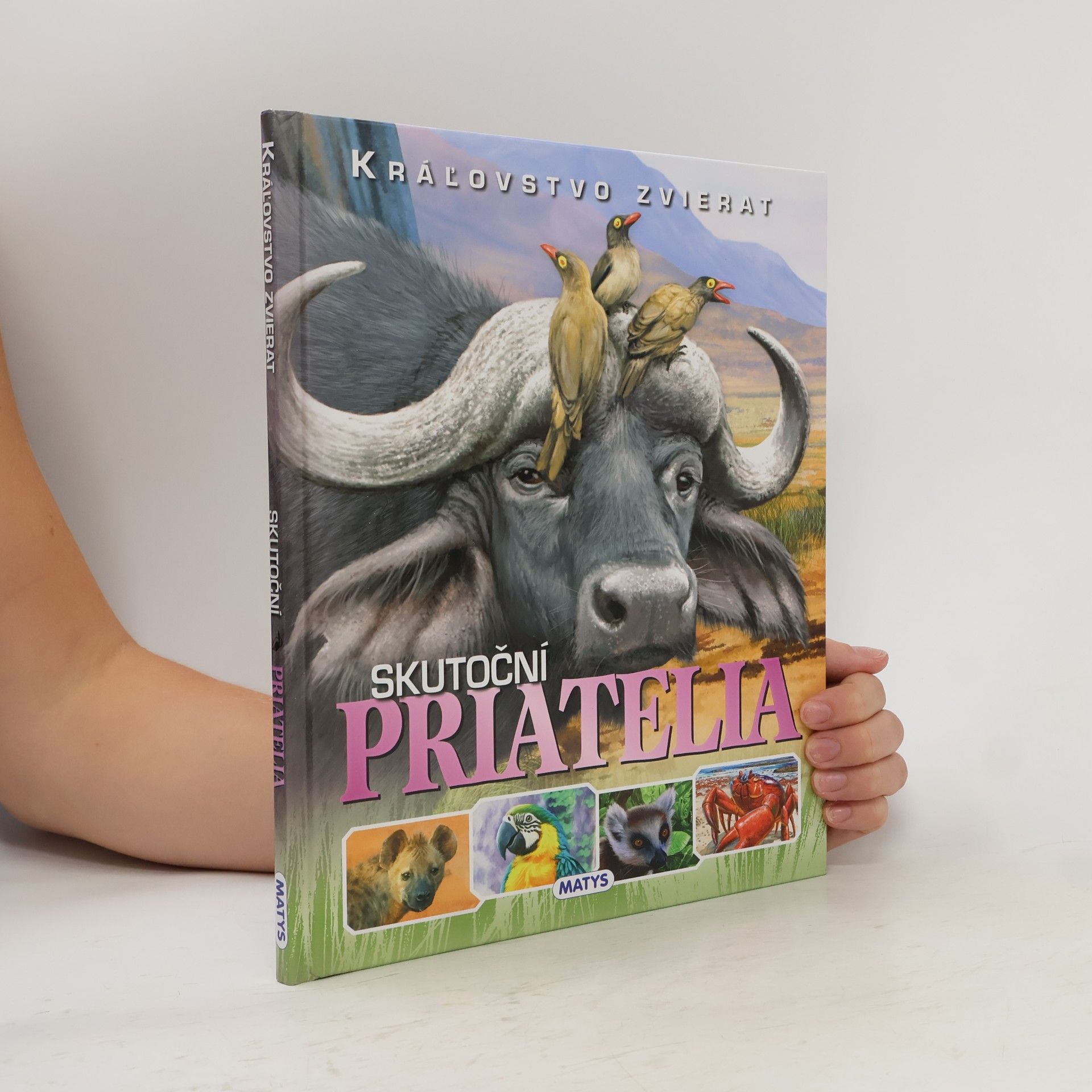 Autorenkollektiv Skutoční priatelia