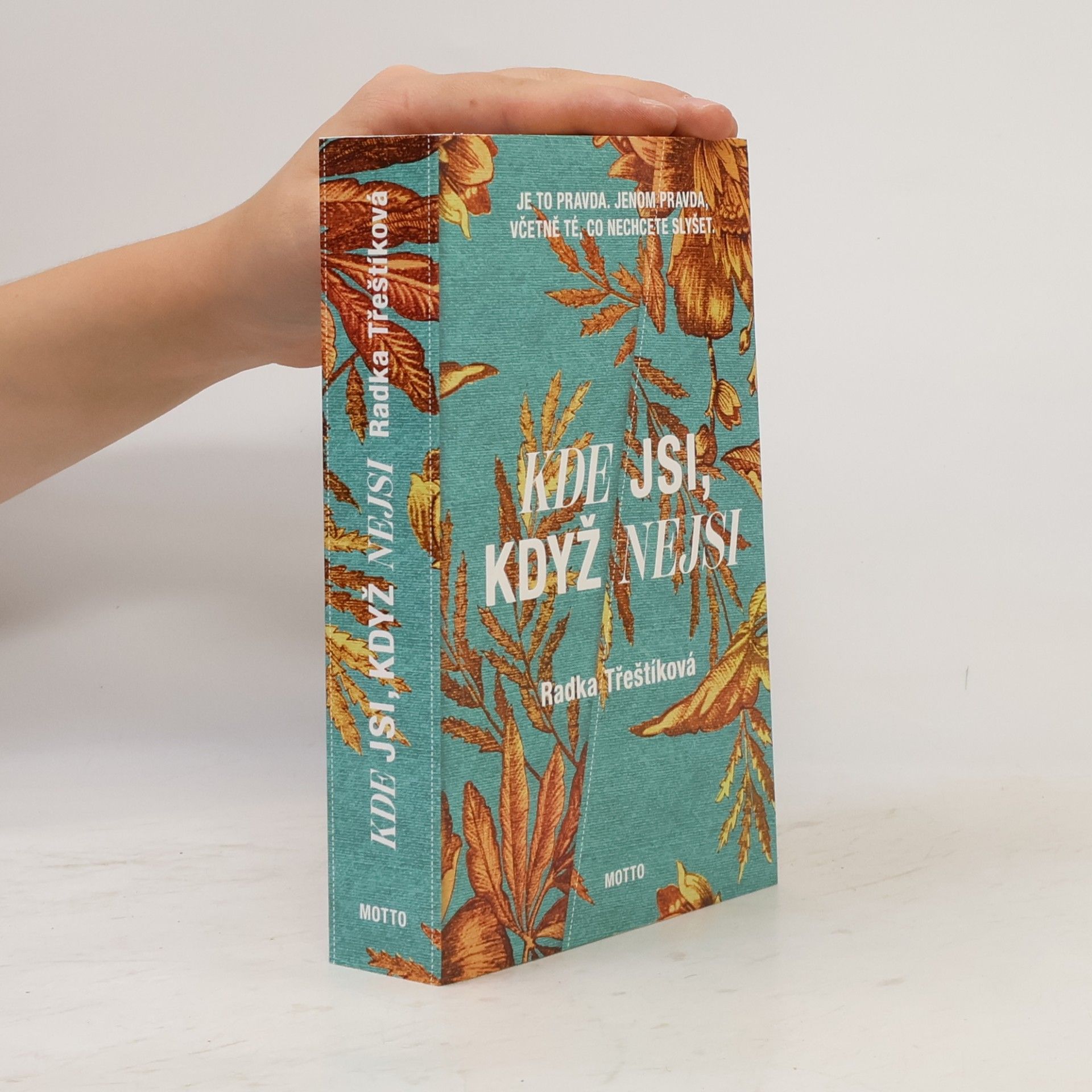 Radka Třeštíková Kde jsi, když nejsi