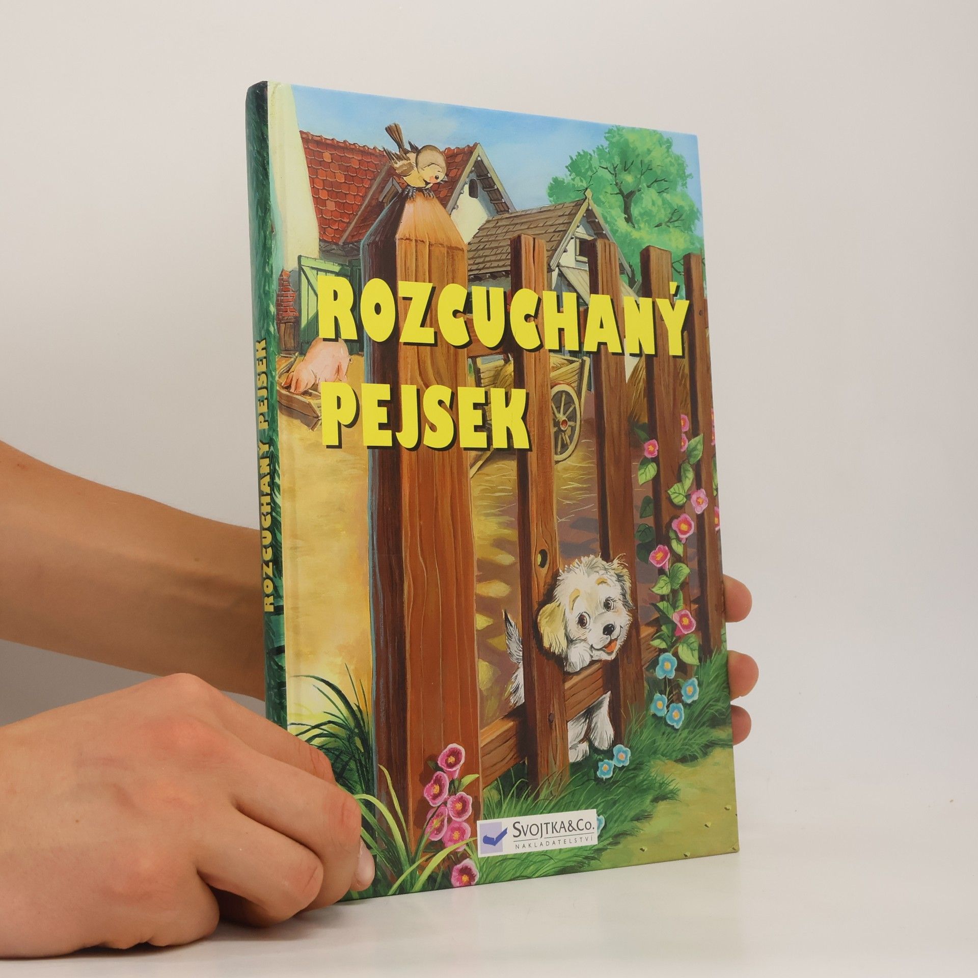 Csaba Feketű Neobyčejná dobrodružství pejska Chlupáčka
