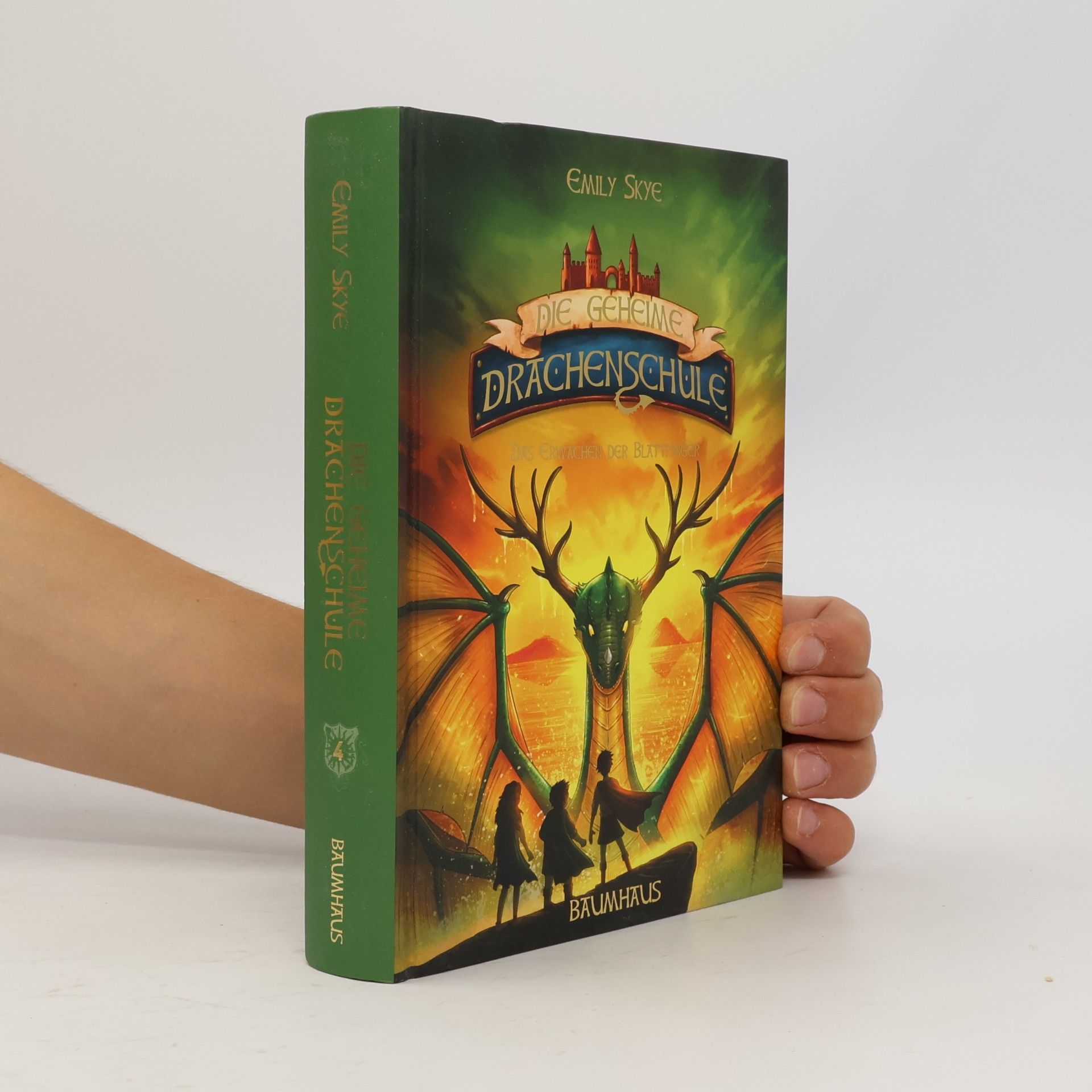 Emily Skye Die geheime Drachenschule. Das Erwachen der Blattfinger