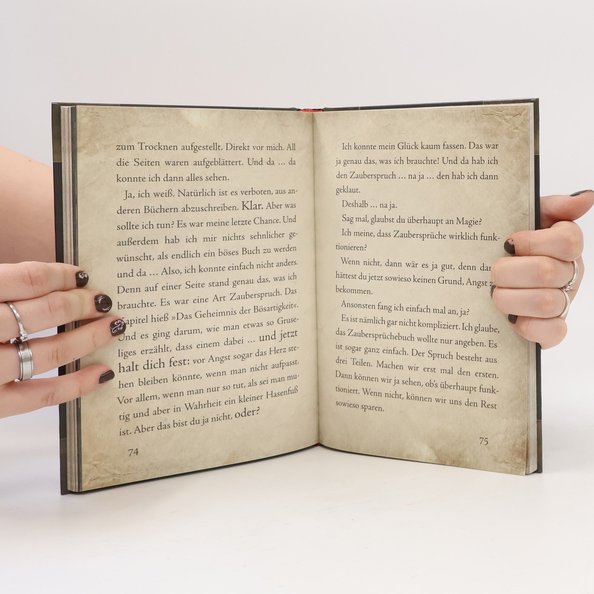 Magnnus Myst Das kleine Böse Buch