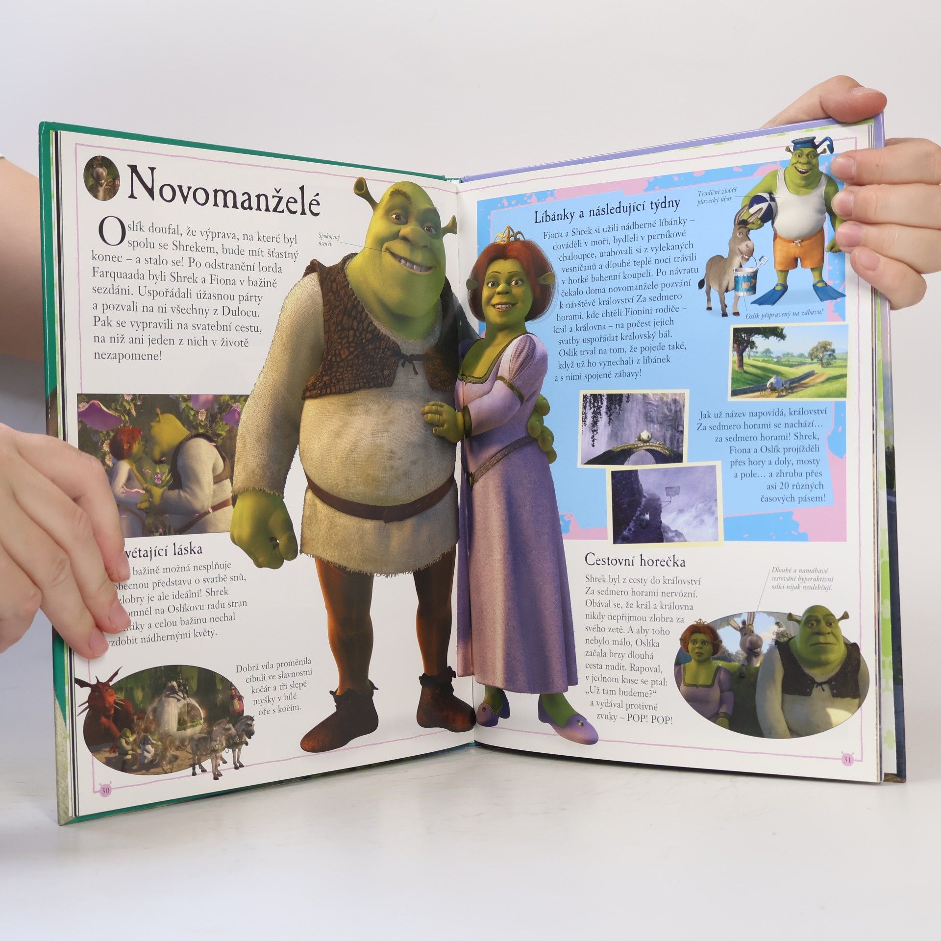 Stephen Cole Shrek
