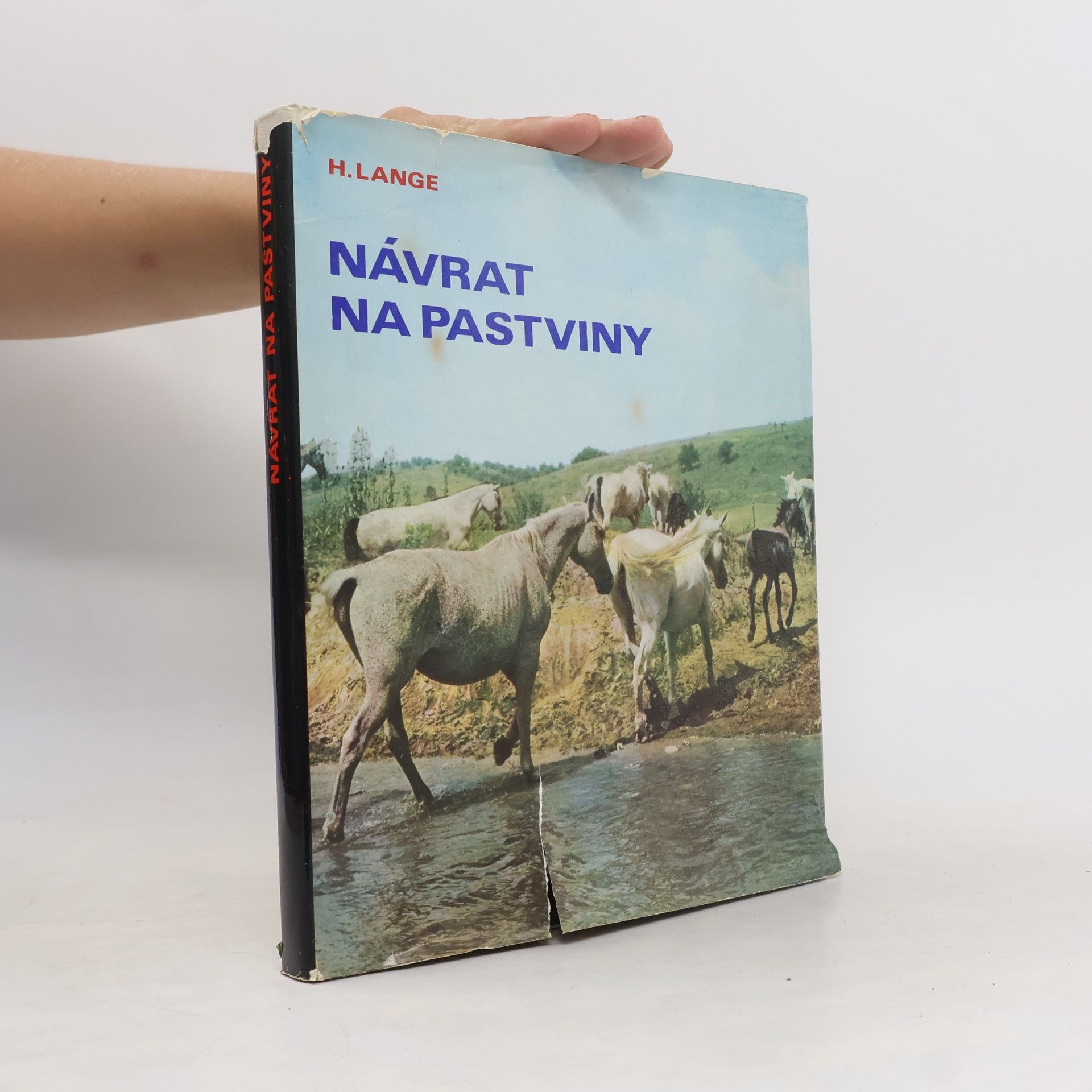 Harald Lange Návrat na pastviny