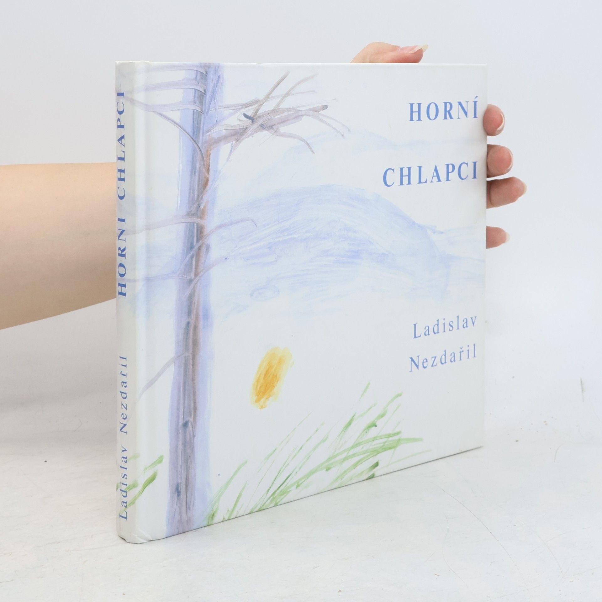 Ladislav Nezdařil Horní chlapci