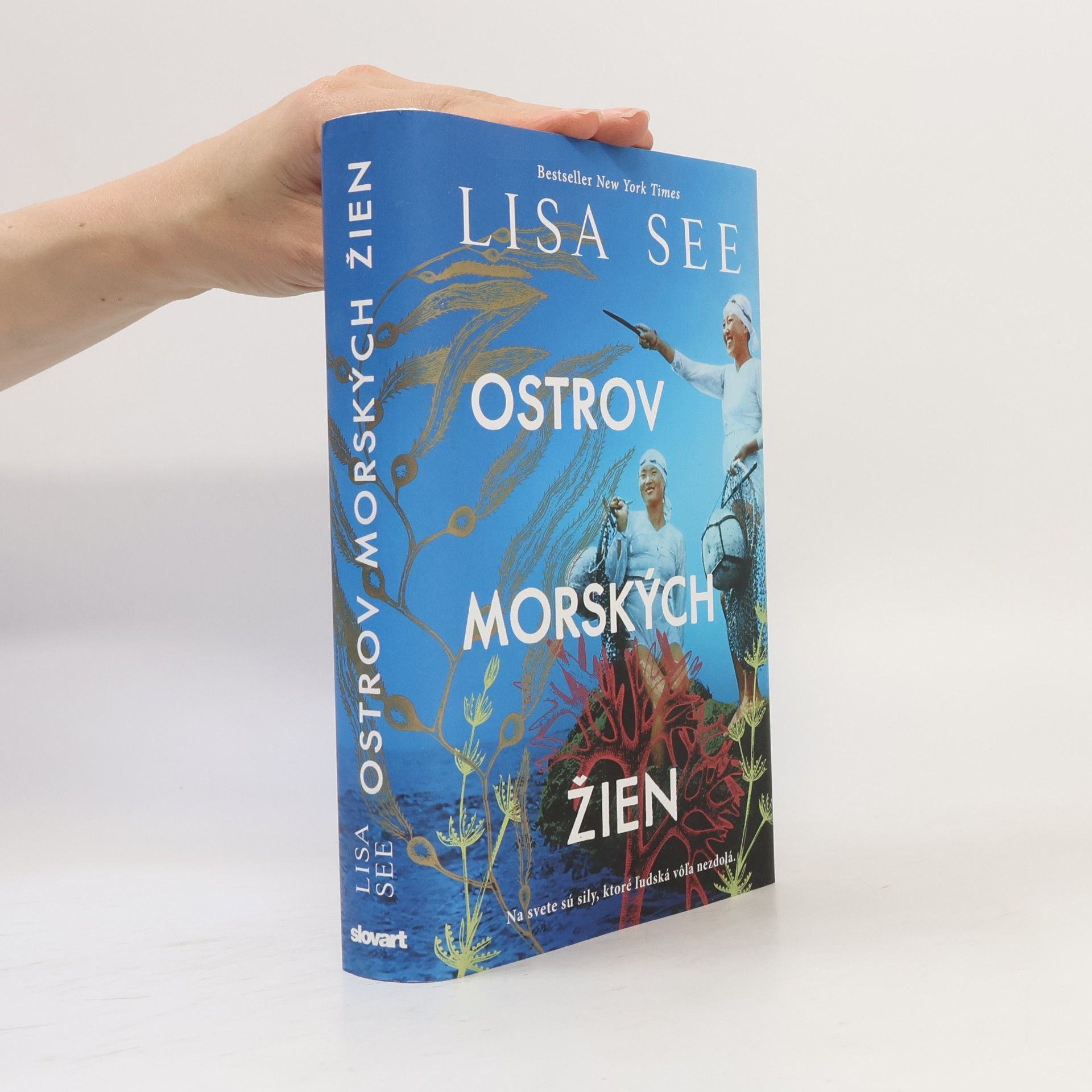 Lisa See Ostrov morských žien