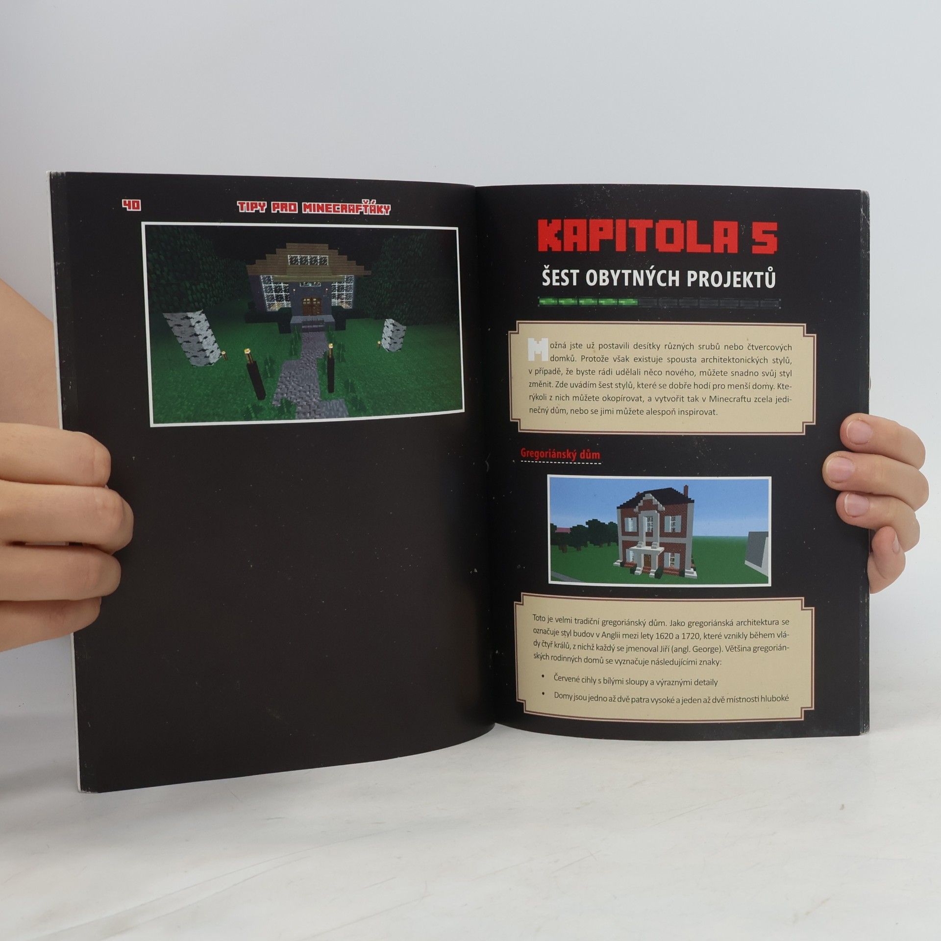 Megan Miller Tajné triky pro Minecrafťáky. Mistr stavitel