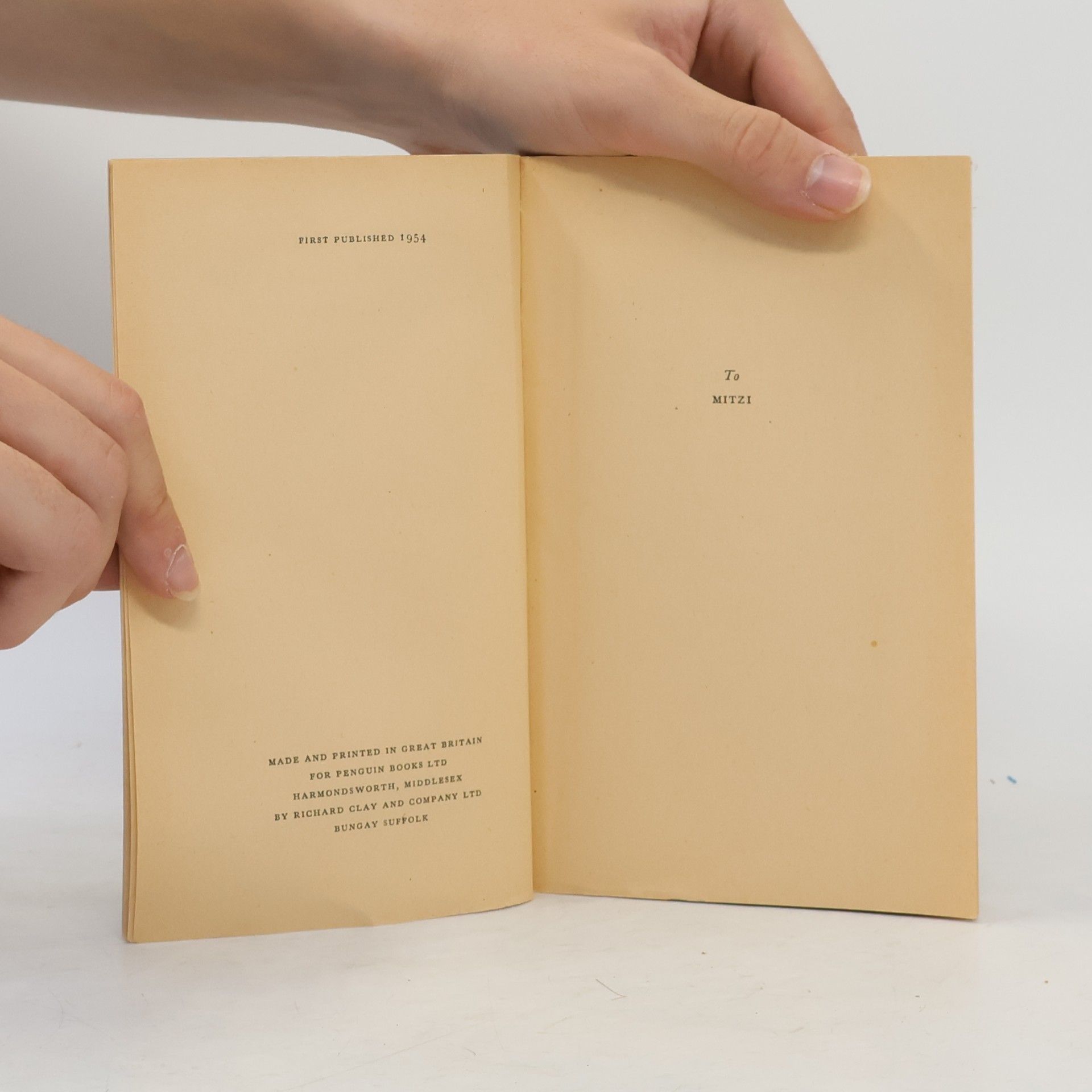 Marcus Cunliffe The Literature of the United States