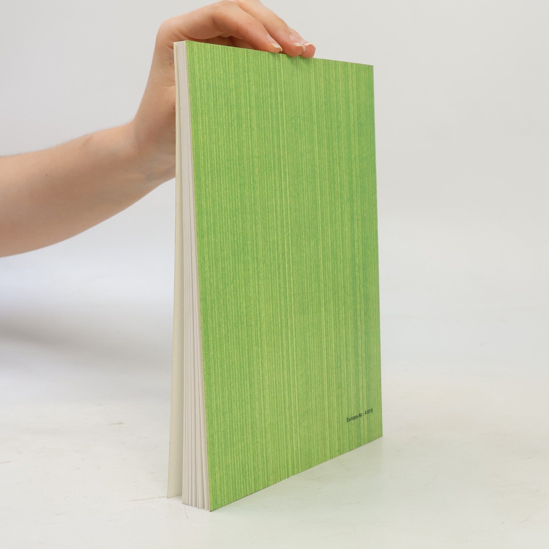 Wolfgang Nutsch Holztechnik. Der Holztreppenbau
