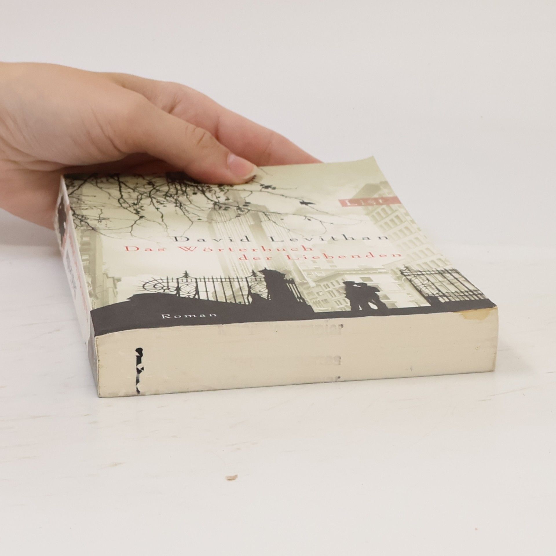 David Levithan Das Wörterbuch der Liebenden