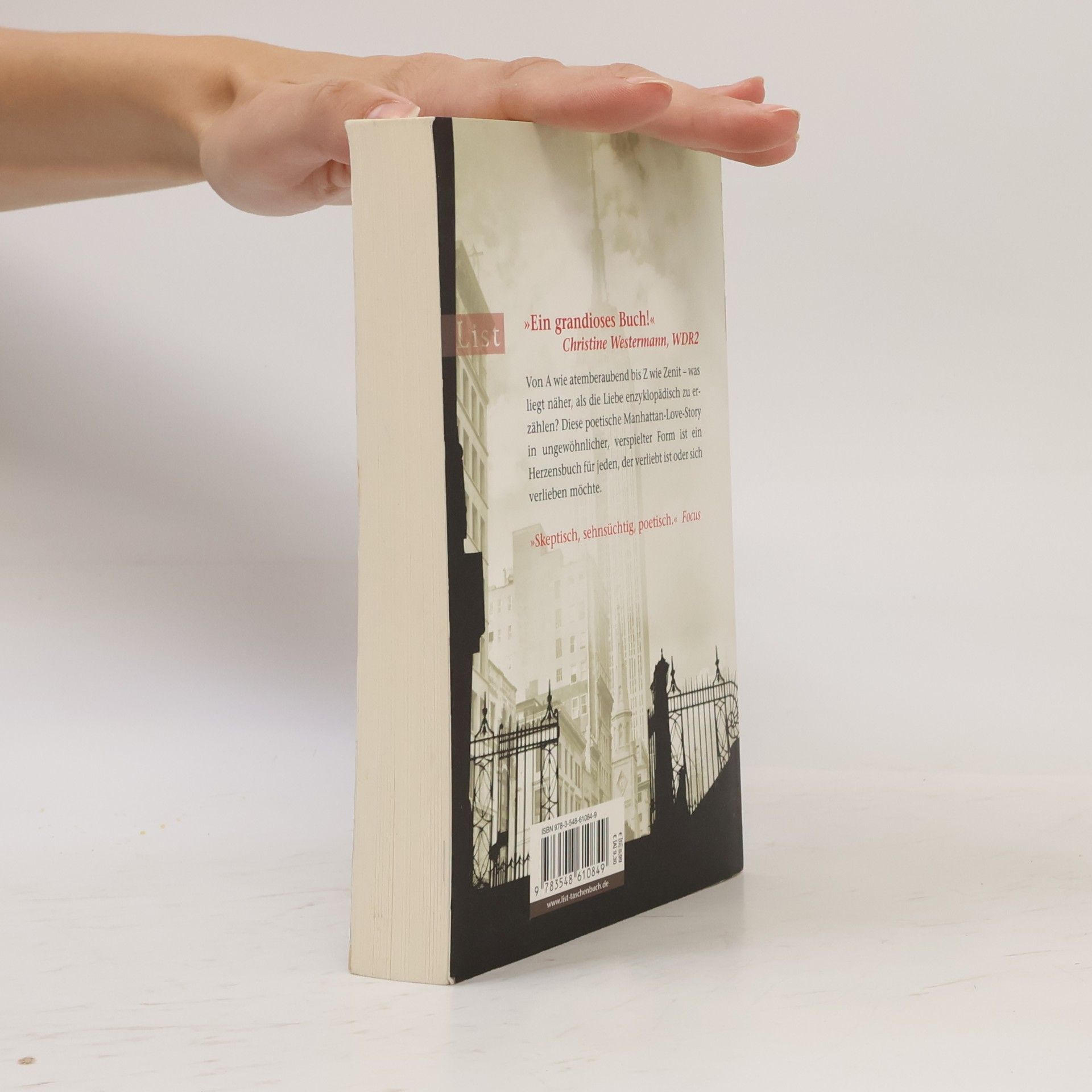 David Levithan Das Wörterbuch der Liebenden