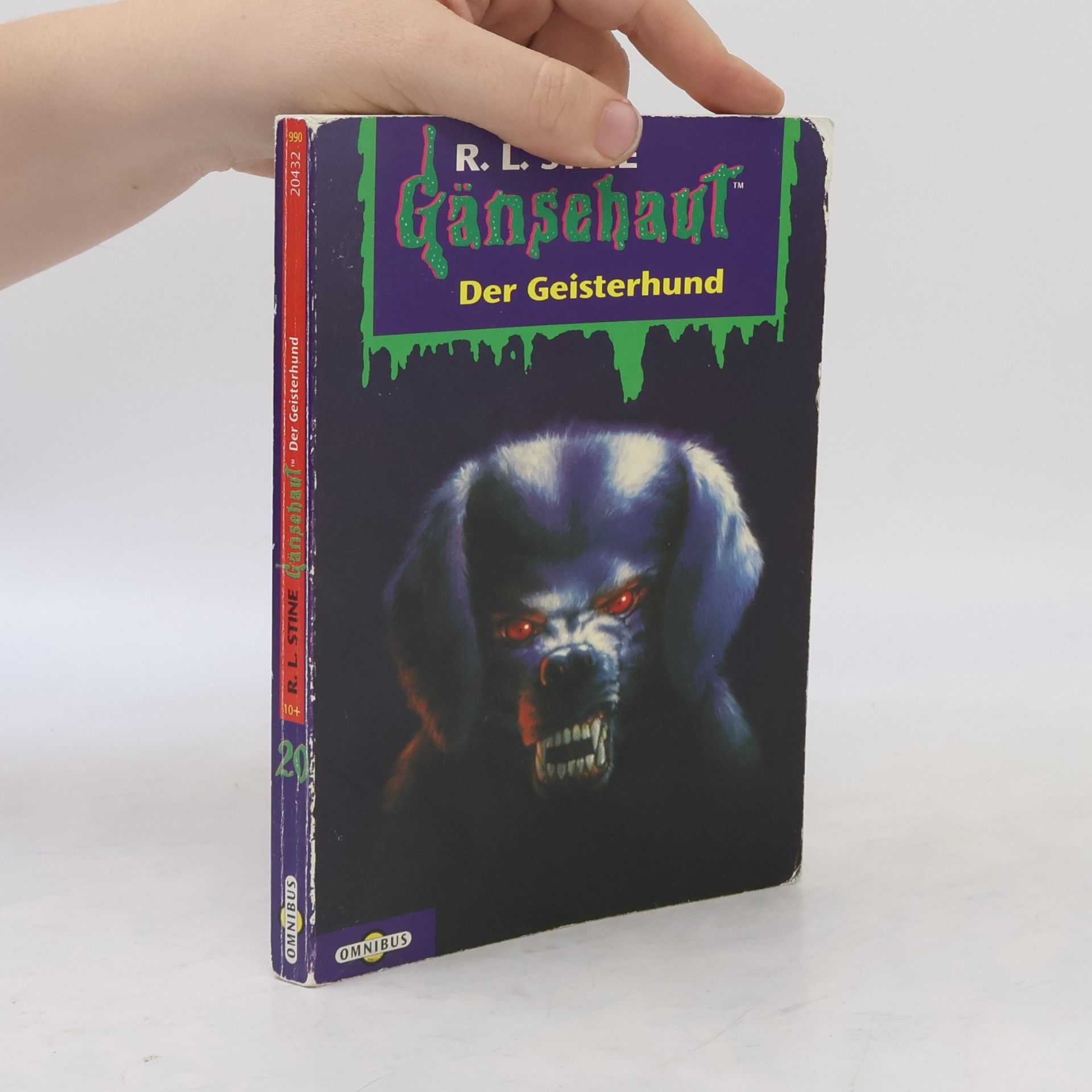 R. L. Stine Gänsehaut 20. Der Geisterhund