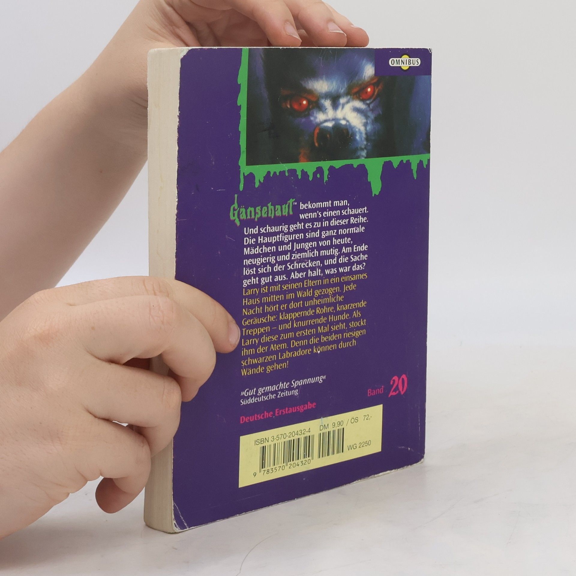 R. L. Stine Gänsehaut 20. Der Geisterhund