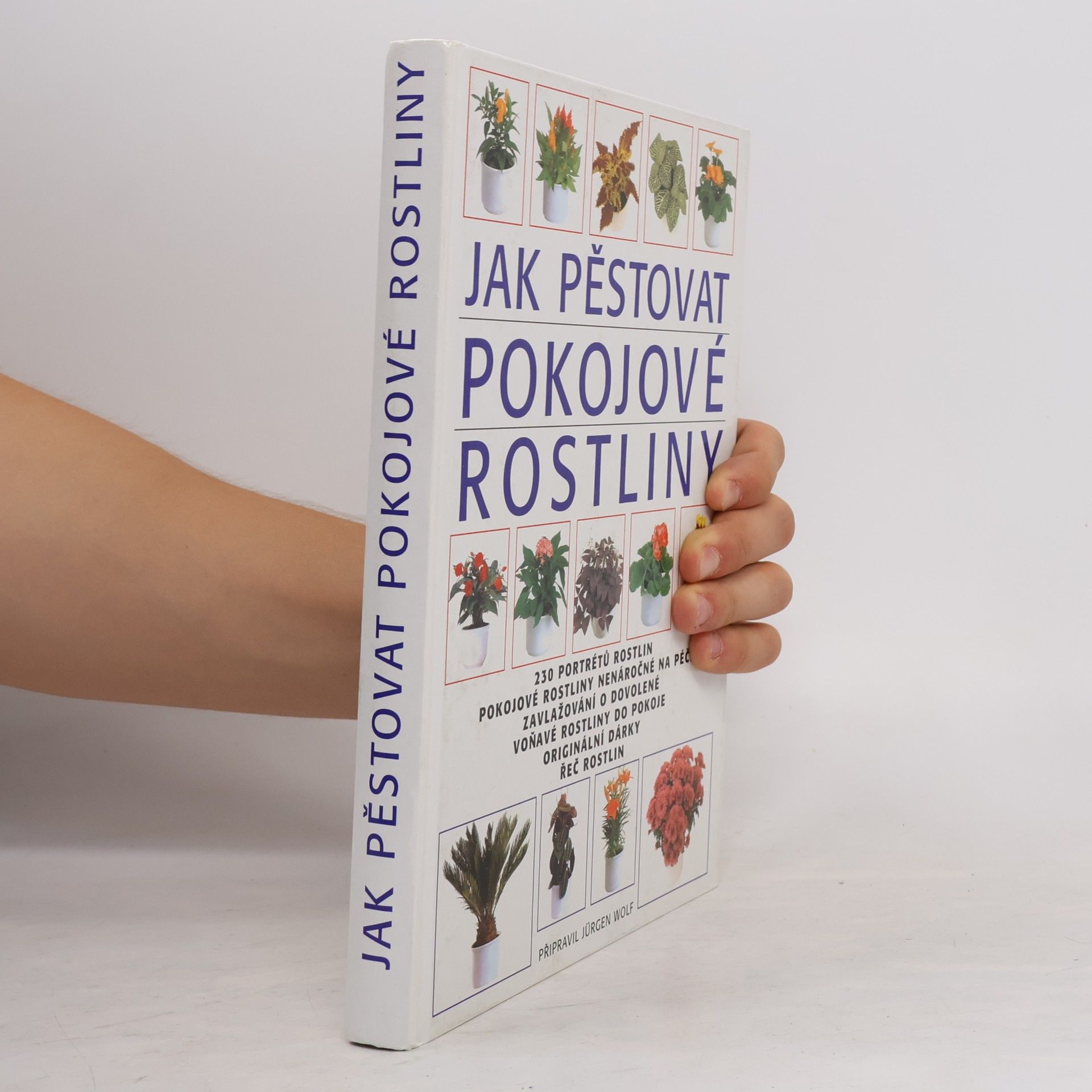 Jürgen Wolff Jak pěstovat pokojové rostliny