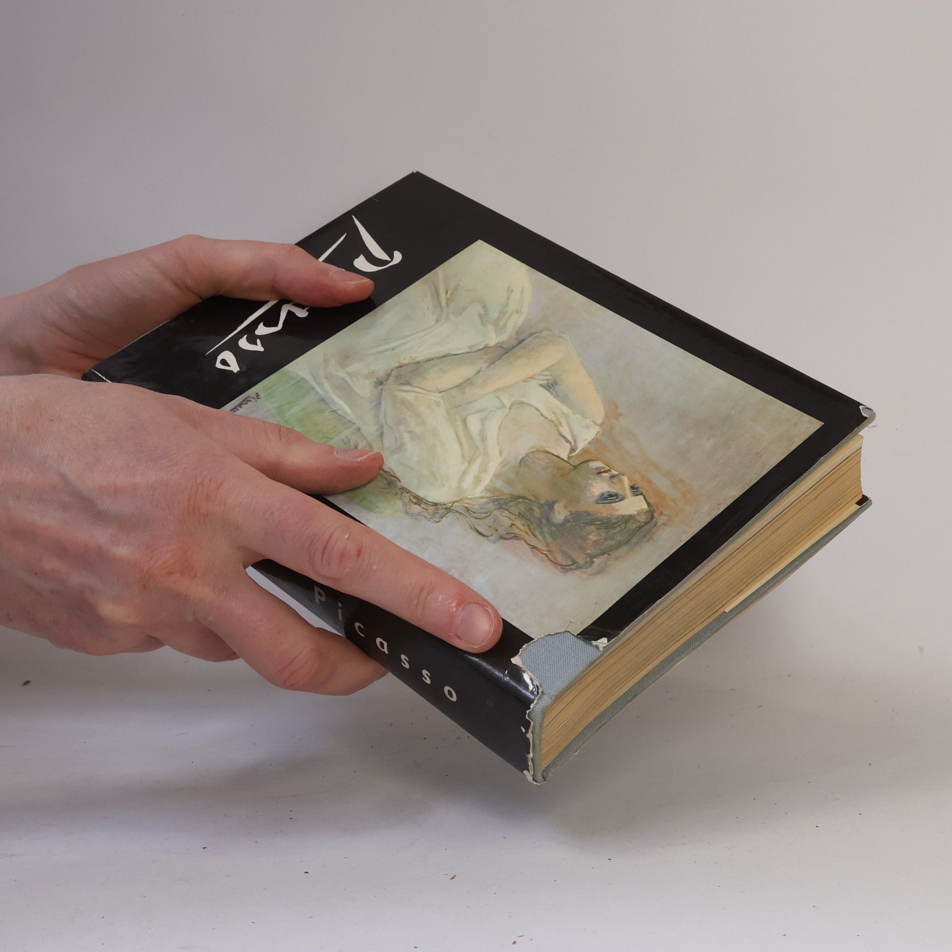 Autores varios Picasso
