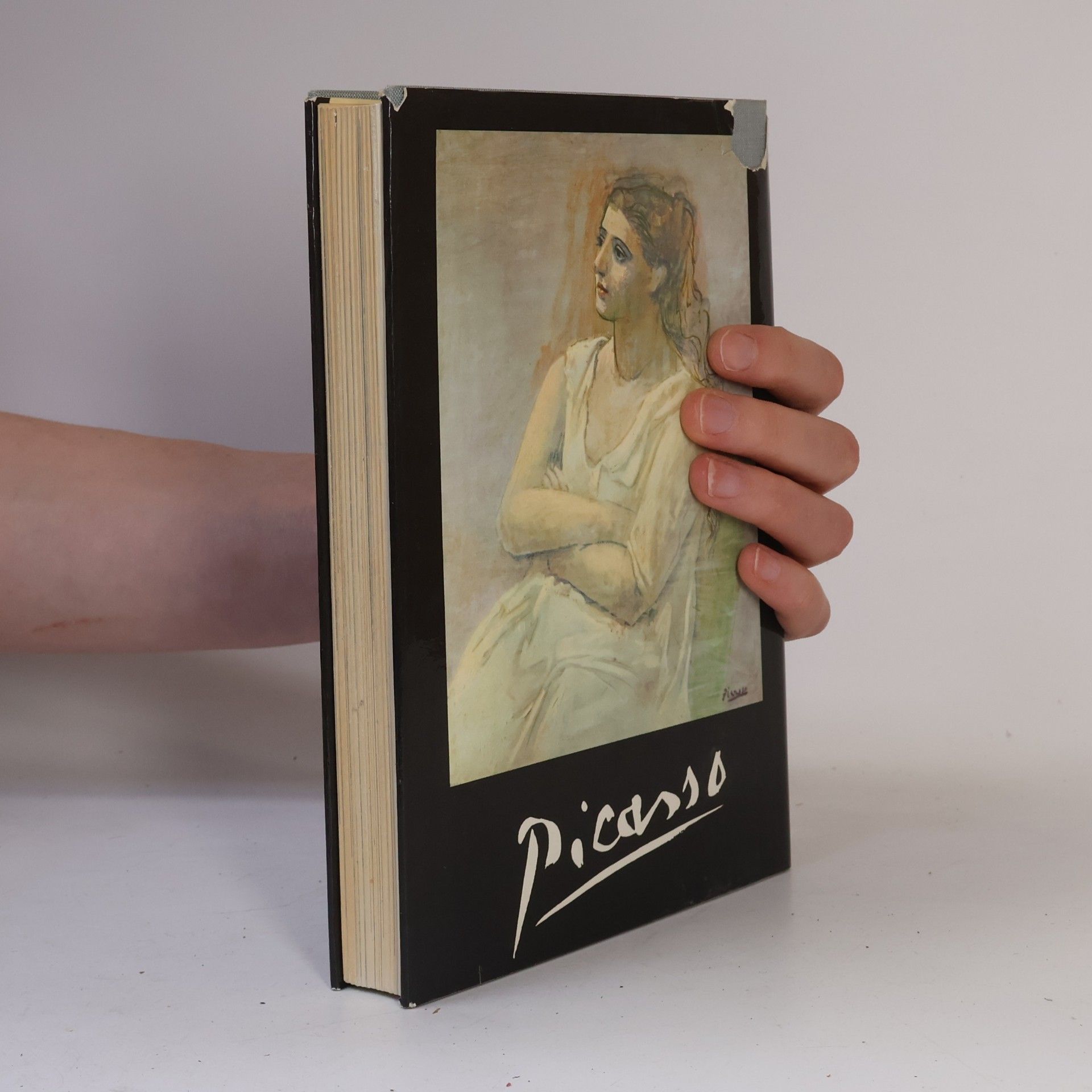 Autores varios Picasso