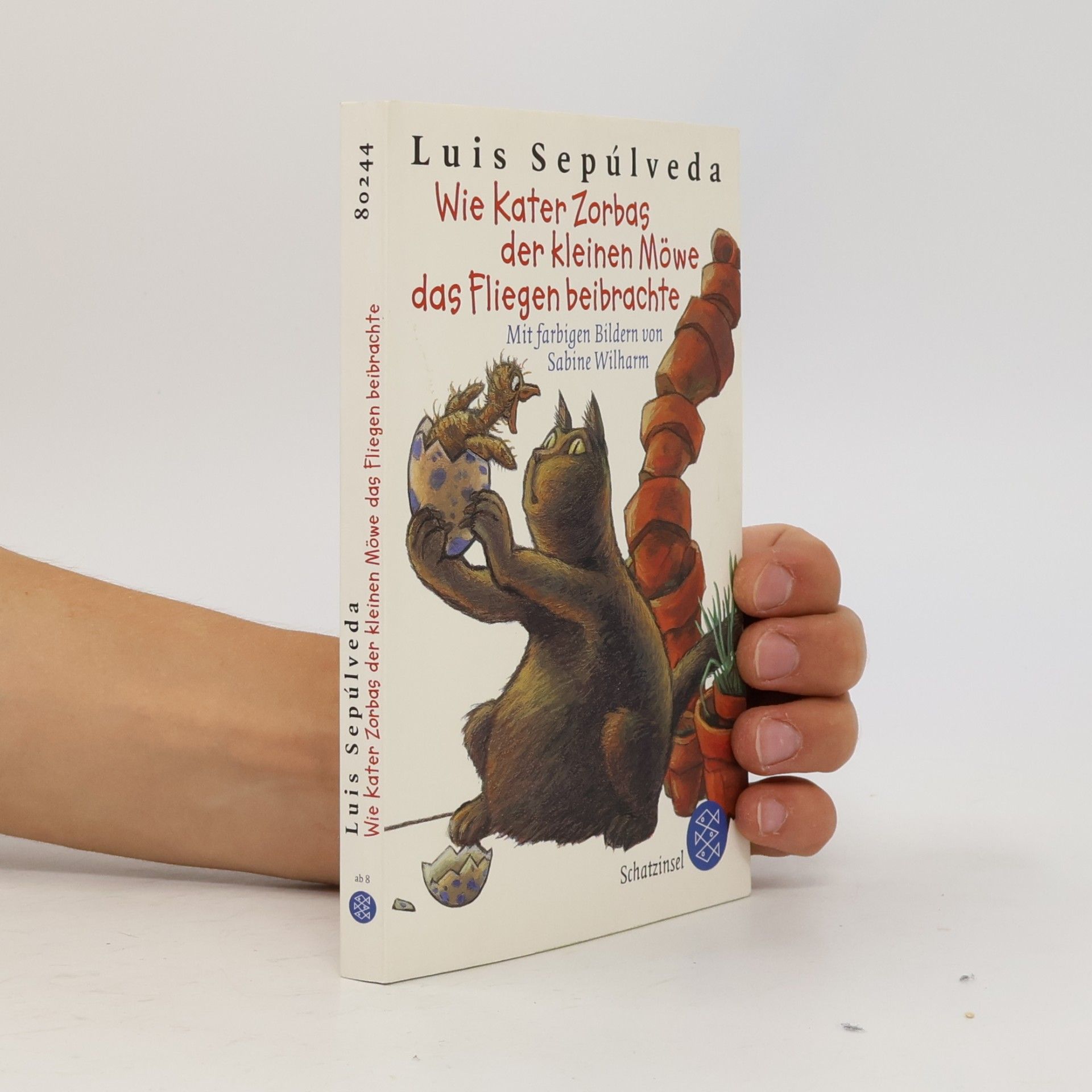 Luis Sepúlveda Wie Kater Zorbas der kleinen Möwe das Fliegen beibrachte
