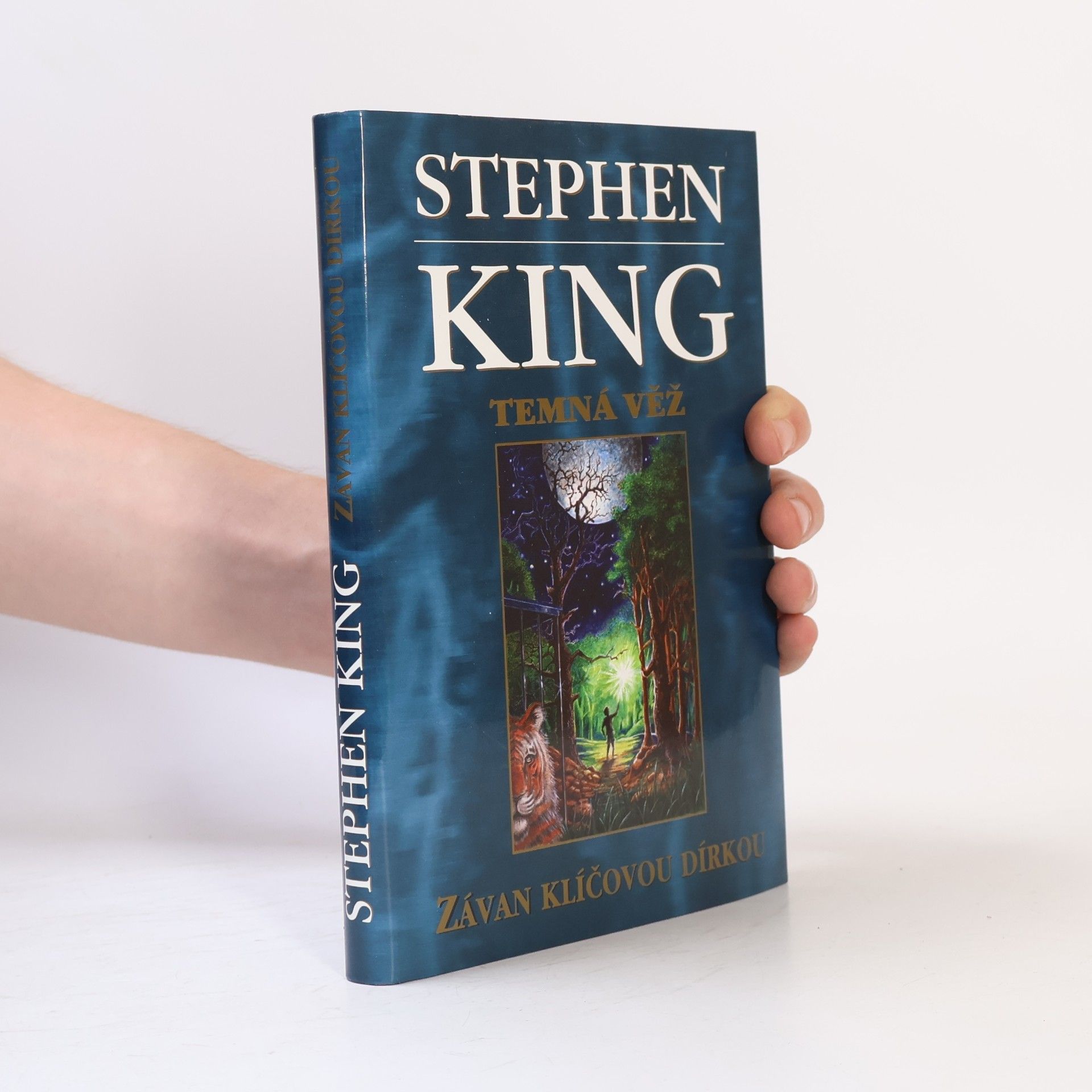 Stephen King Temná věž: Závan klíčovou dírkou
