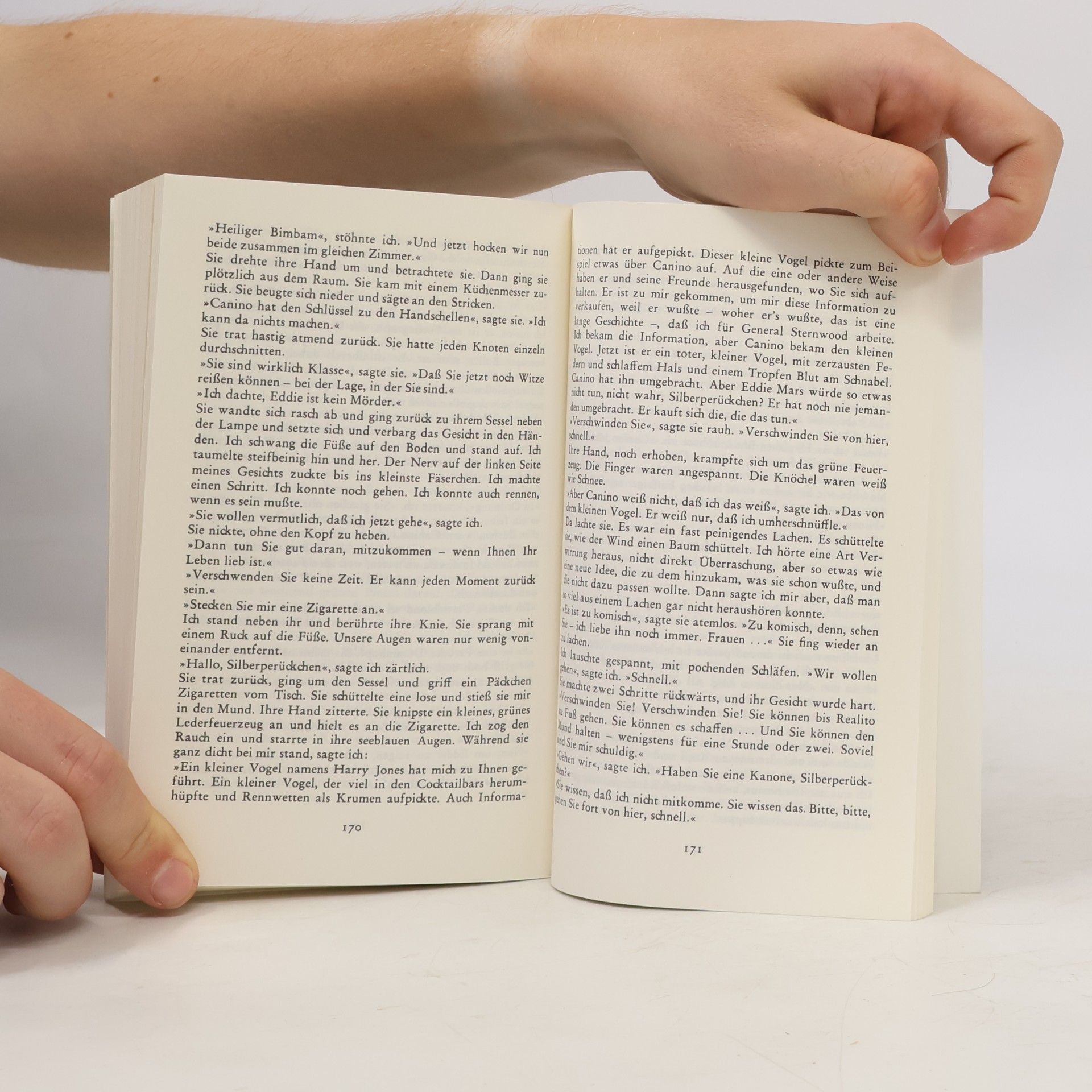 Raymond Chandler Der große Schlaf