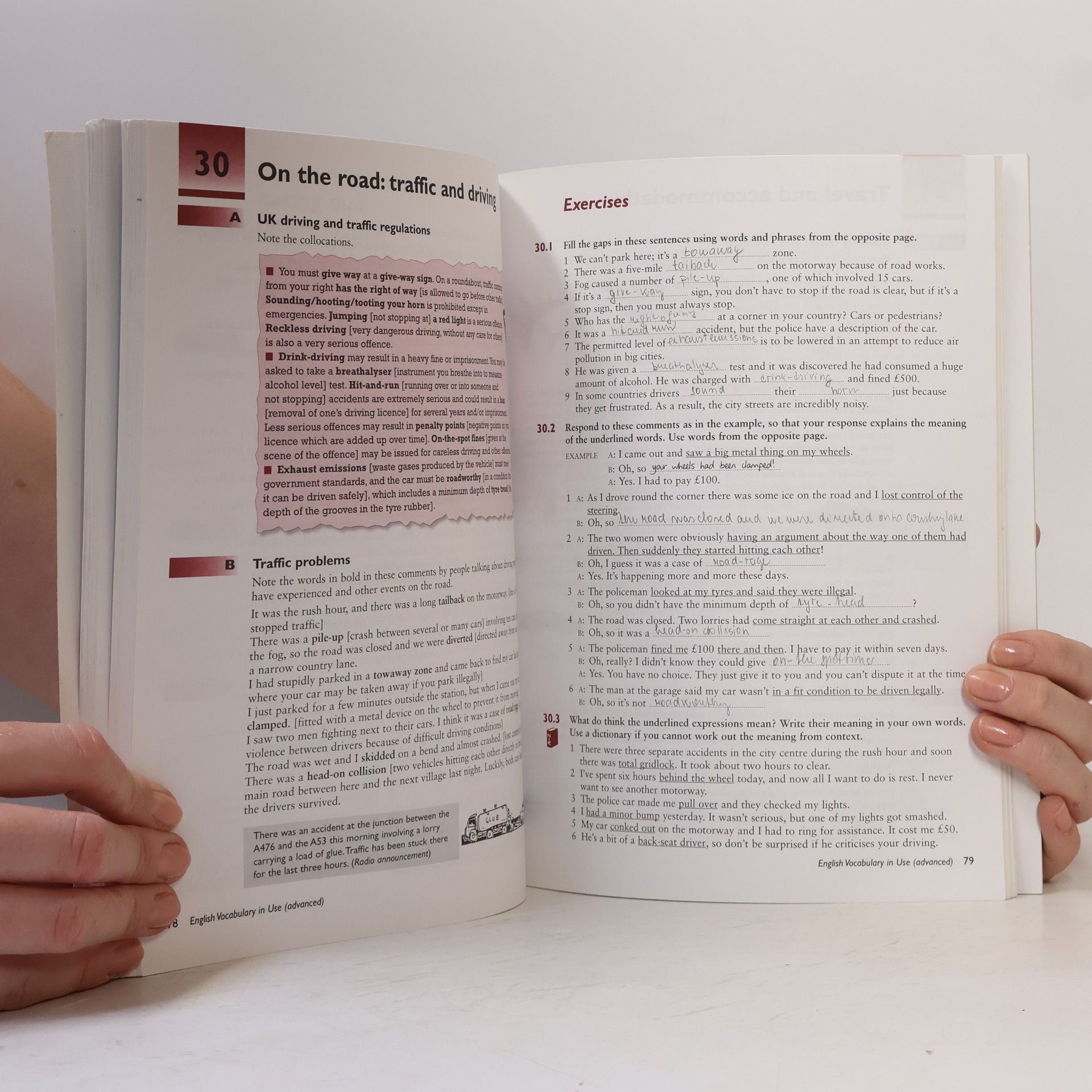 Michael McCarthy English Vocabulary in Use. Advanced