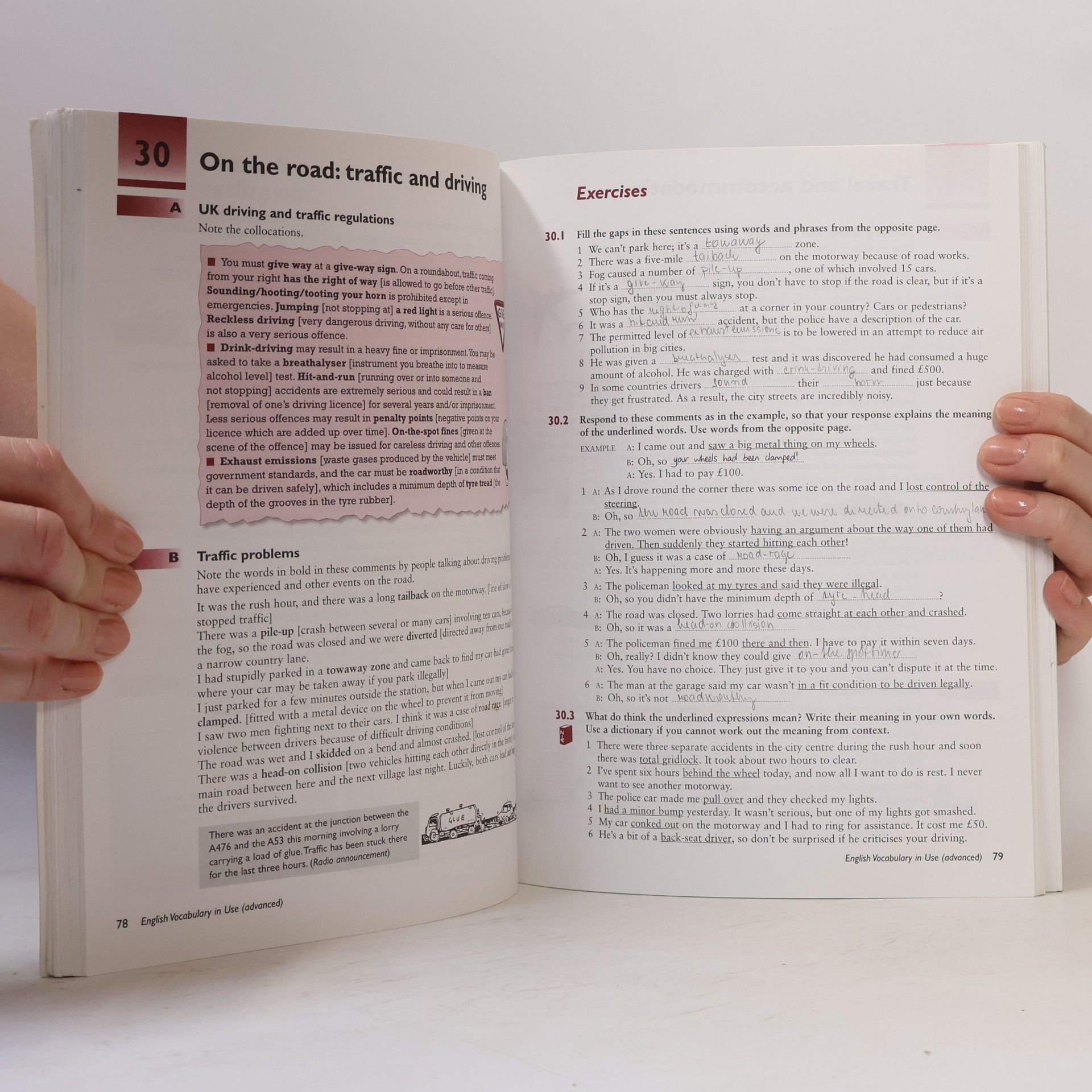 Michael McCarthy English Vocabulary in Use. Advanced