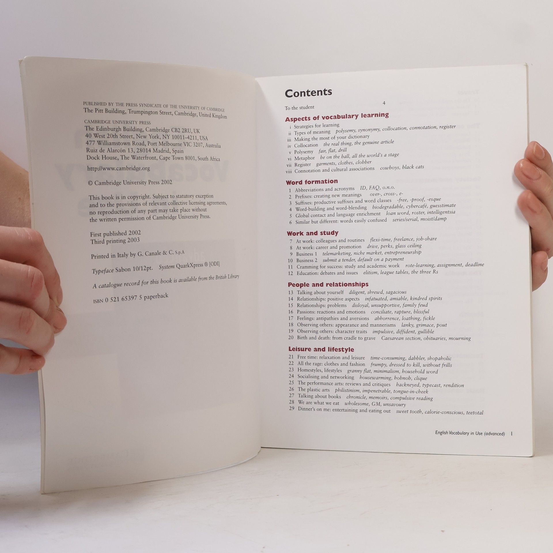 Michael McCarthy English Vocabulary in Use. Advanced