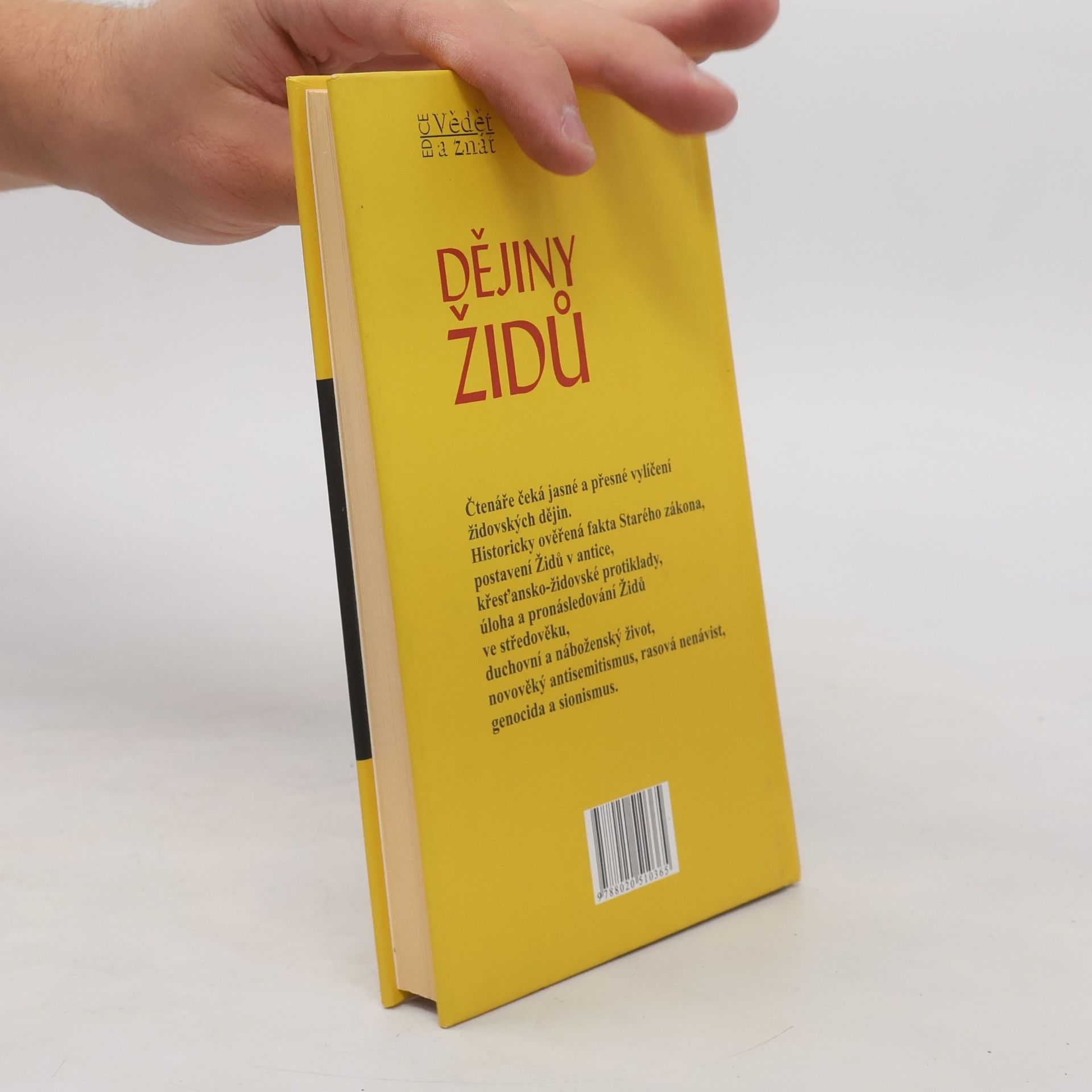 Kurt Schubert Dějiny Židů