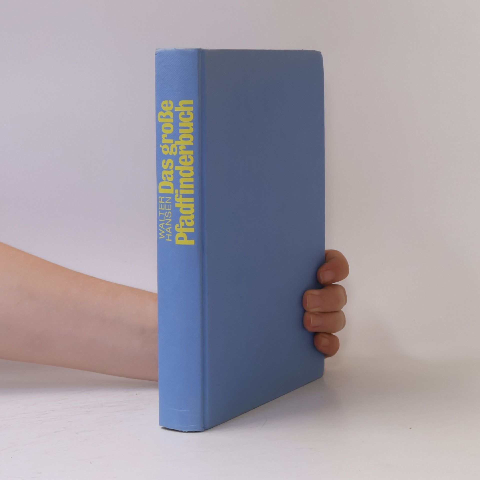 Das große Pfadfinderbuch