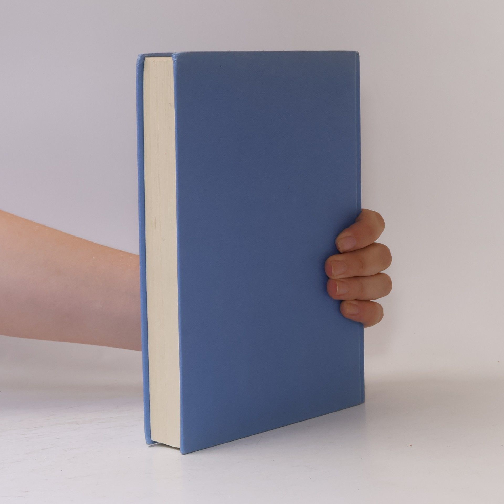 Walter Hansen Das große Pfadfinderbuch