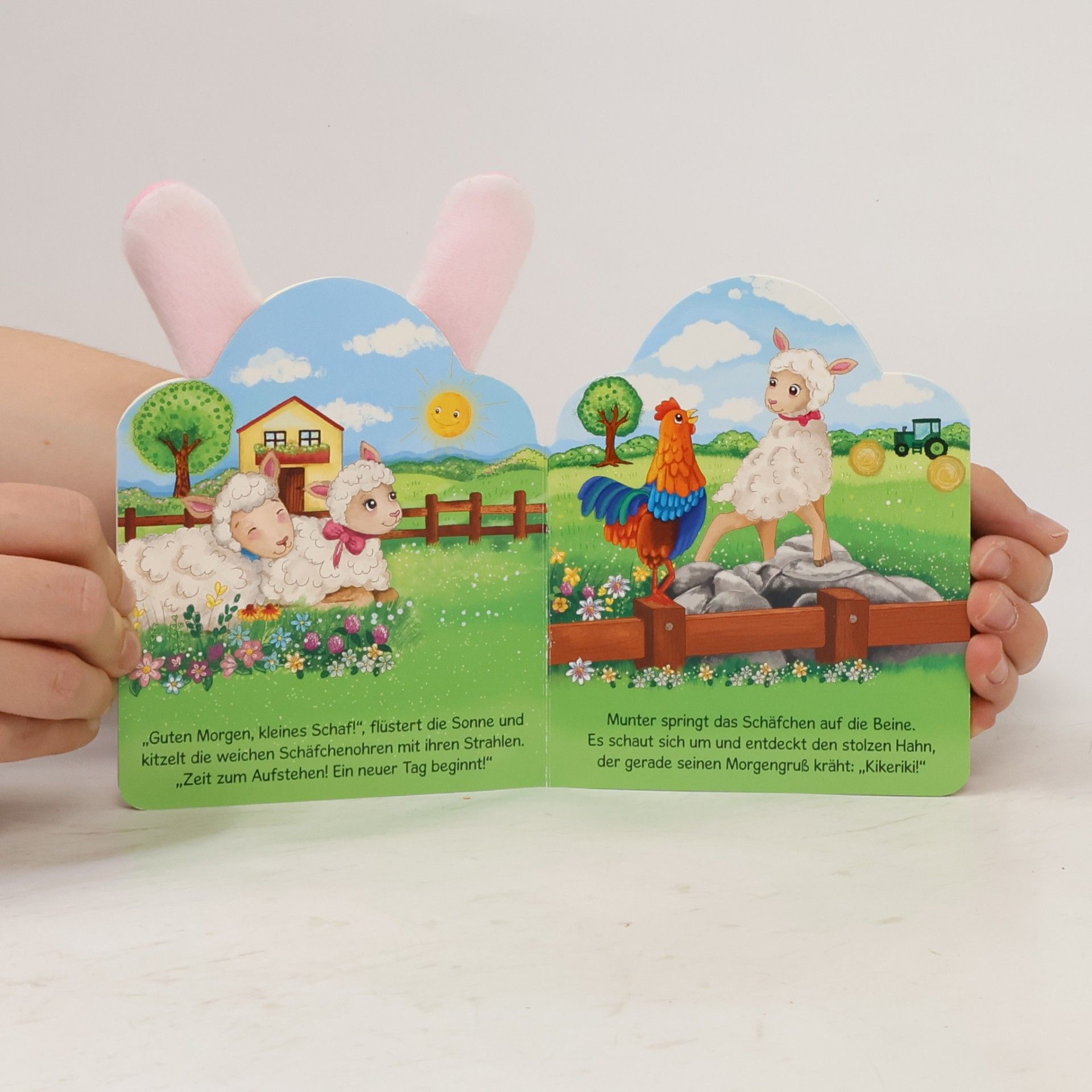 Trötsch Verlag Trötsch Das kleine Schaf Kinderbuch mit Plüschohren