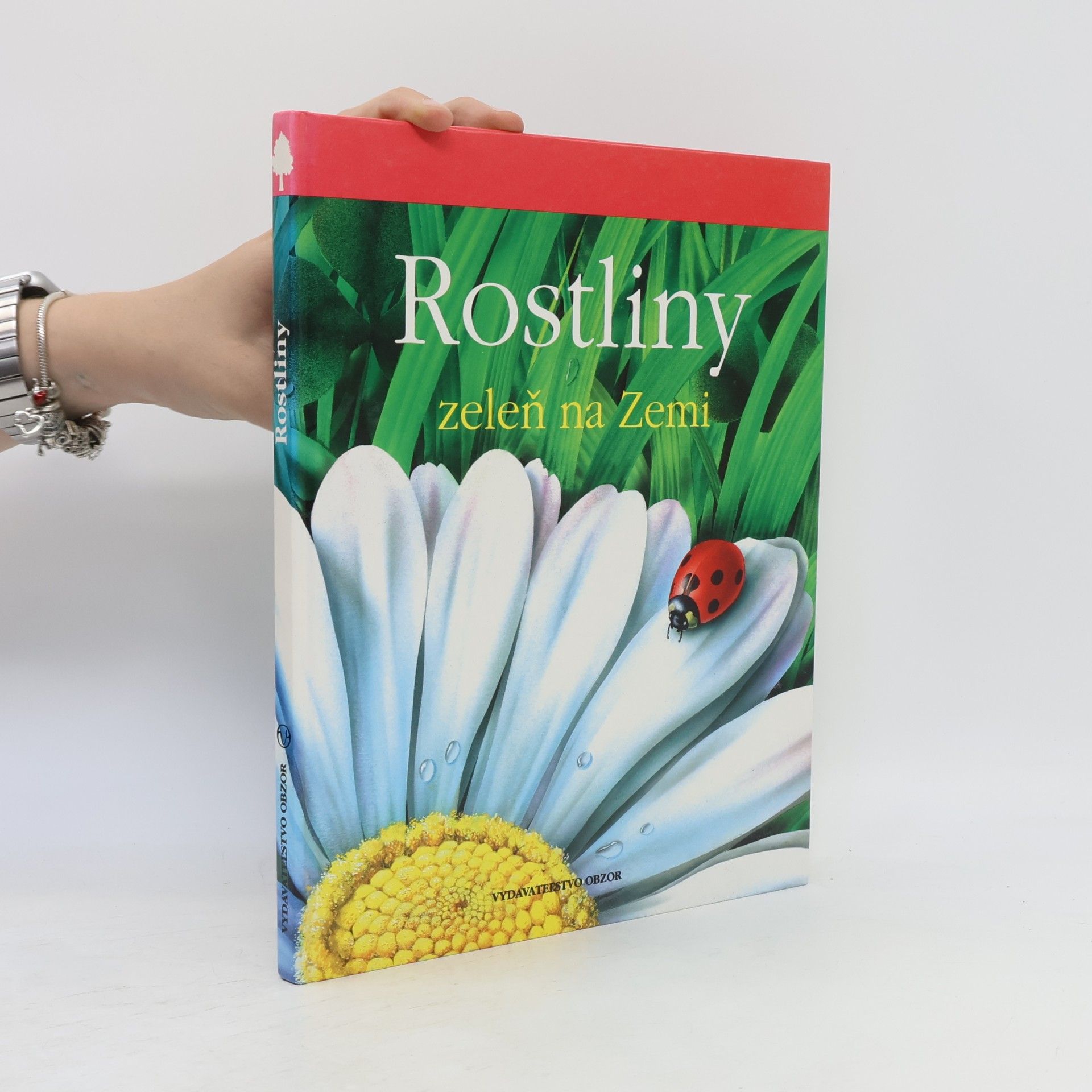 Lucia Benedittiová Rostliny. Zeleň na zemi