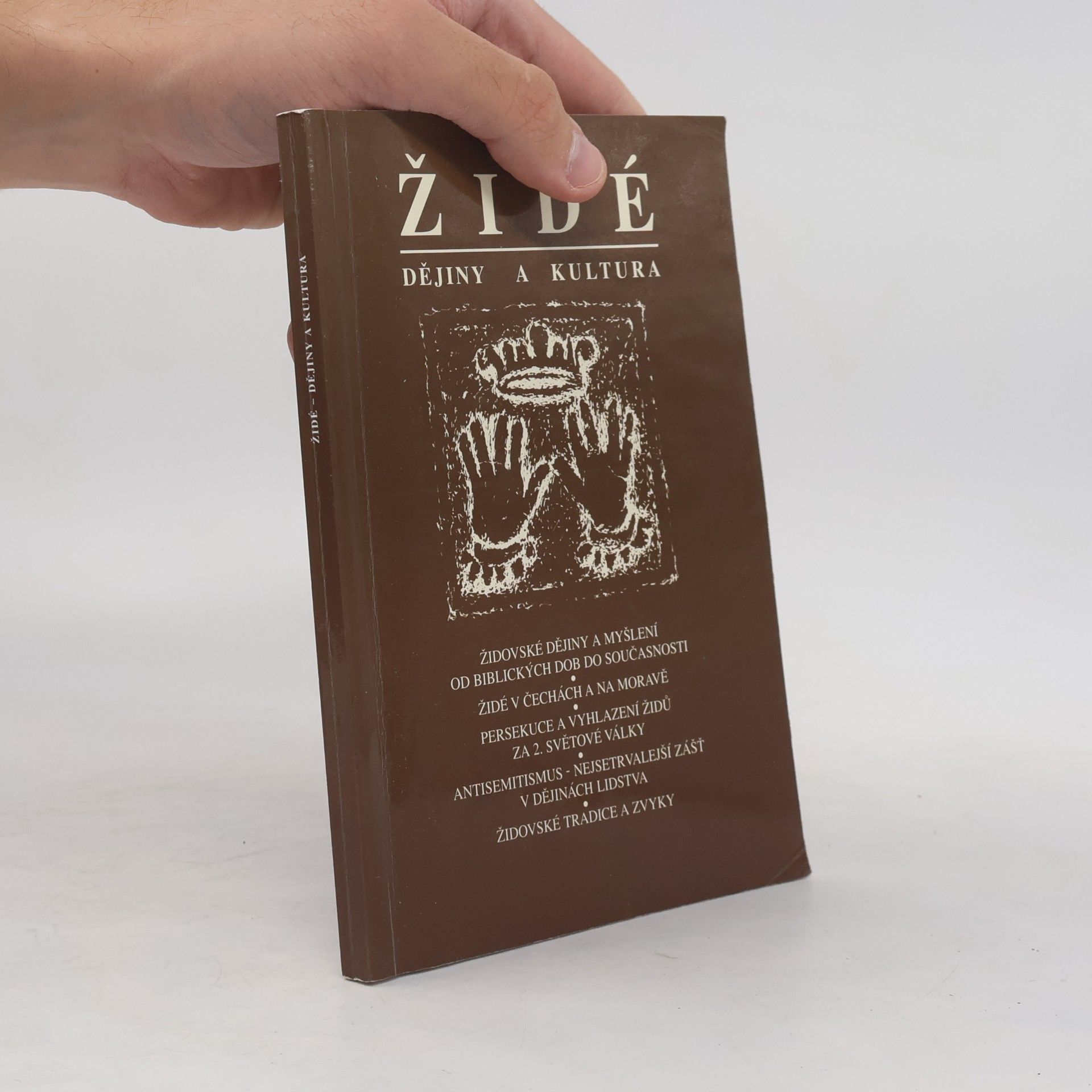 Autorenkollektiv Židé : Dějiny a kultura