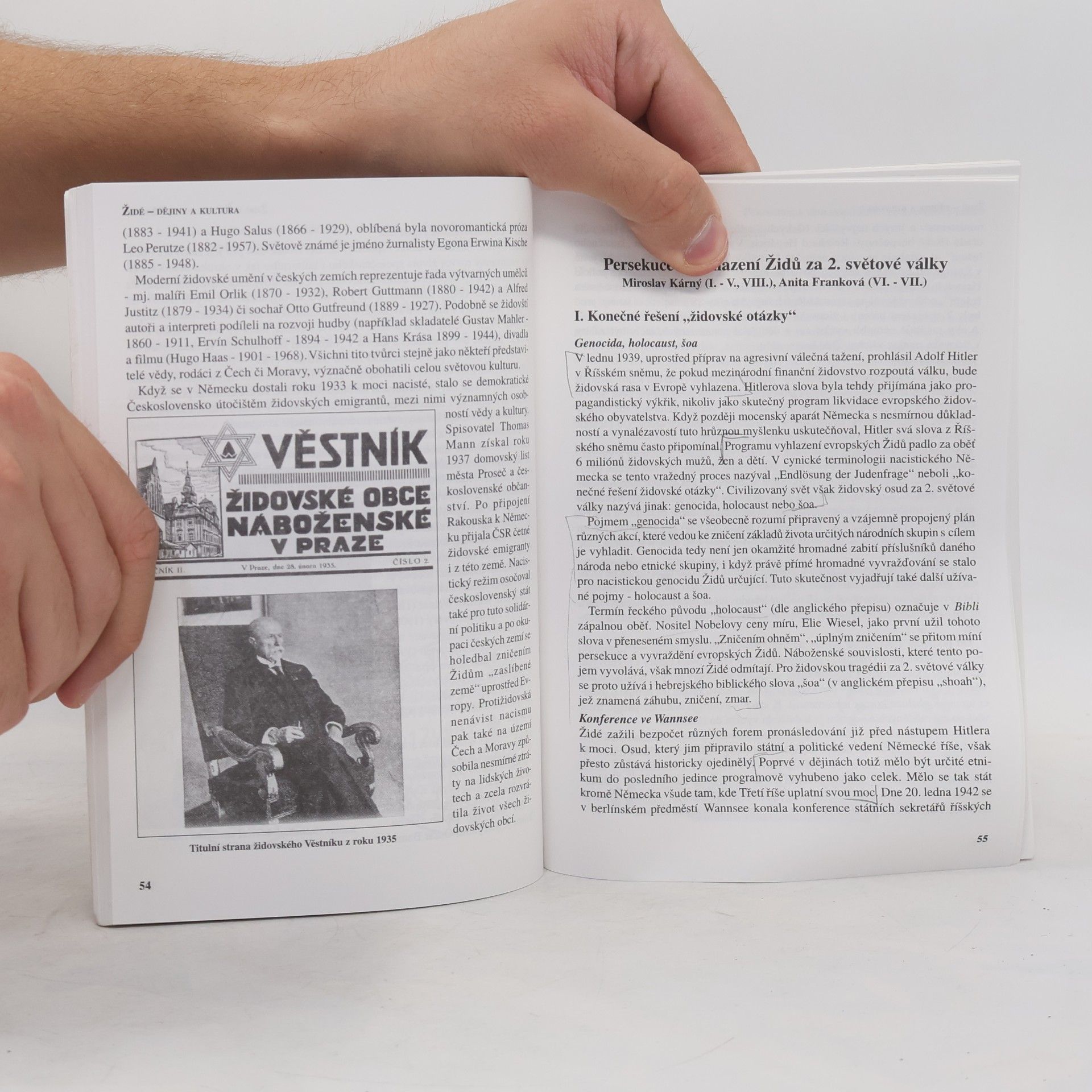 Kolektiv autorů Židé : Dějiny a kultura