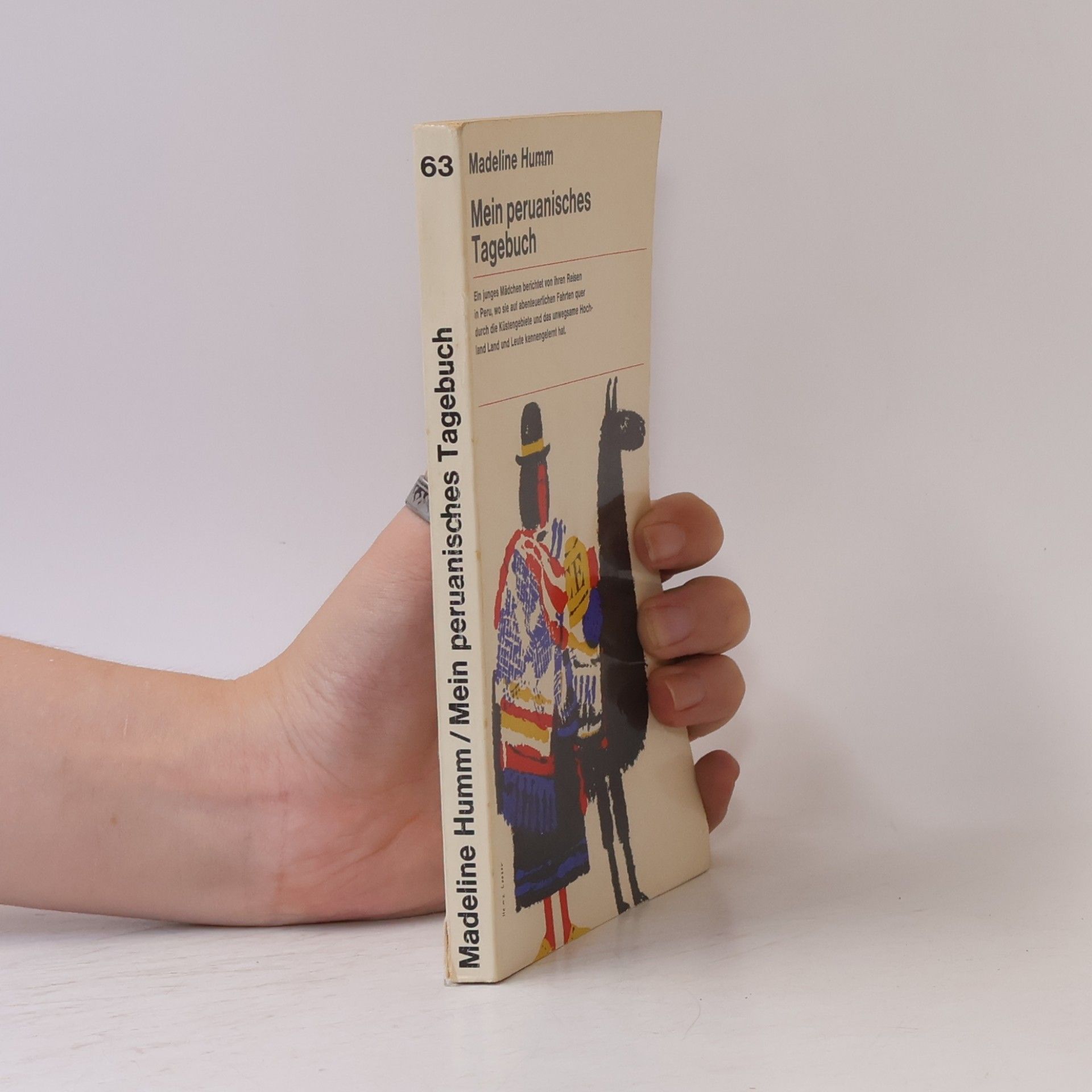 Mein peruanisches Tagebuch