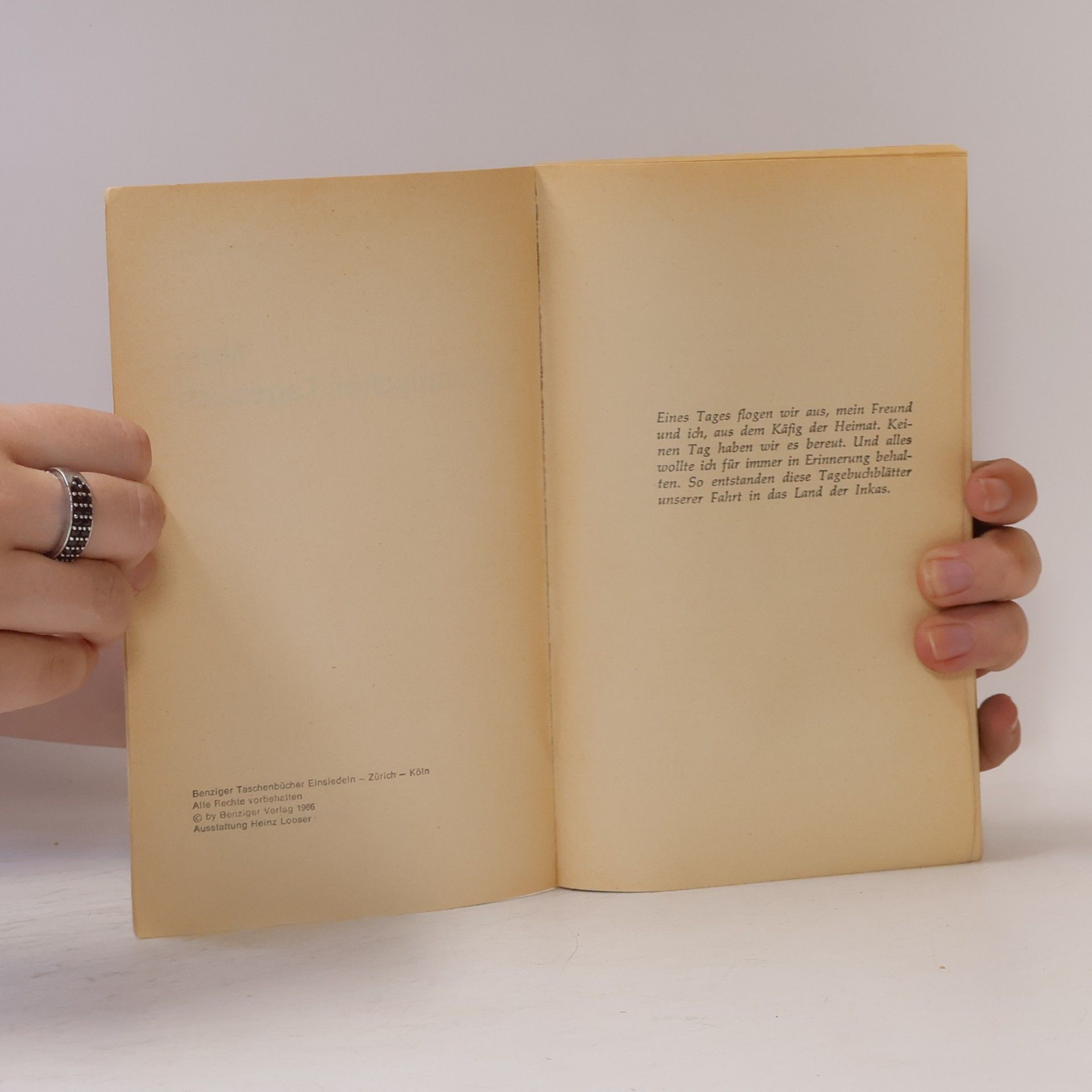 Madeline Humm Mein peruanisches Tagebuch