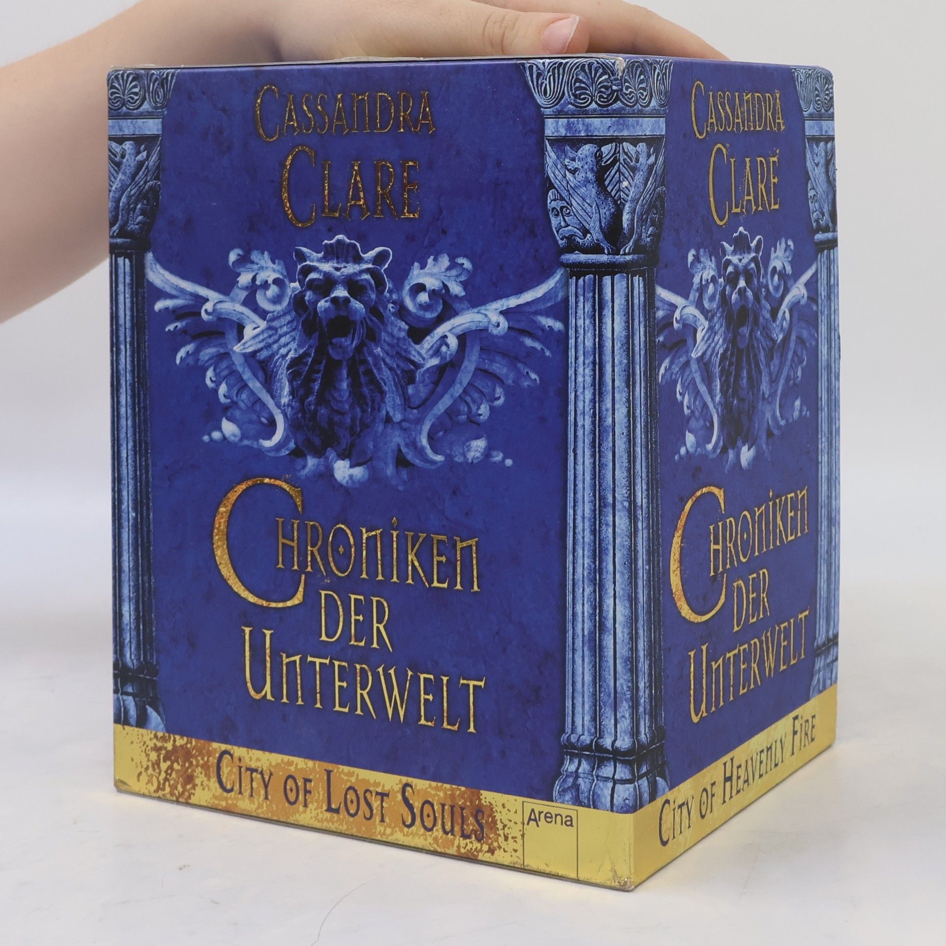 Cassandra Clare Chroniken der Unterwelt 1-3