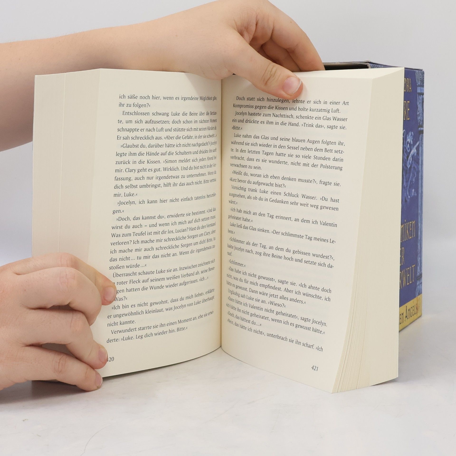 Cassandra Clare Chroniken der Unterwelt 1-3