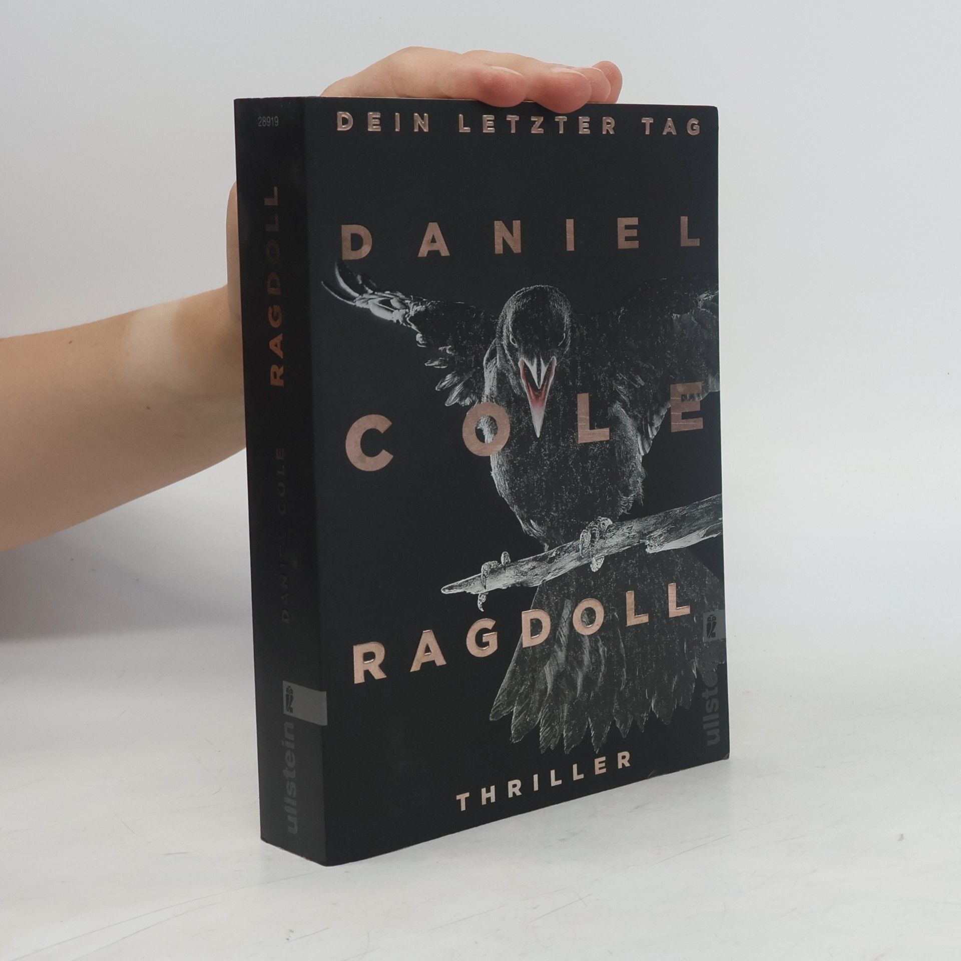 Daniel Cole Ragdoll