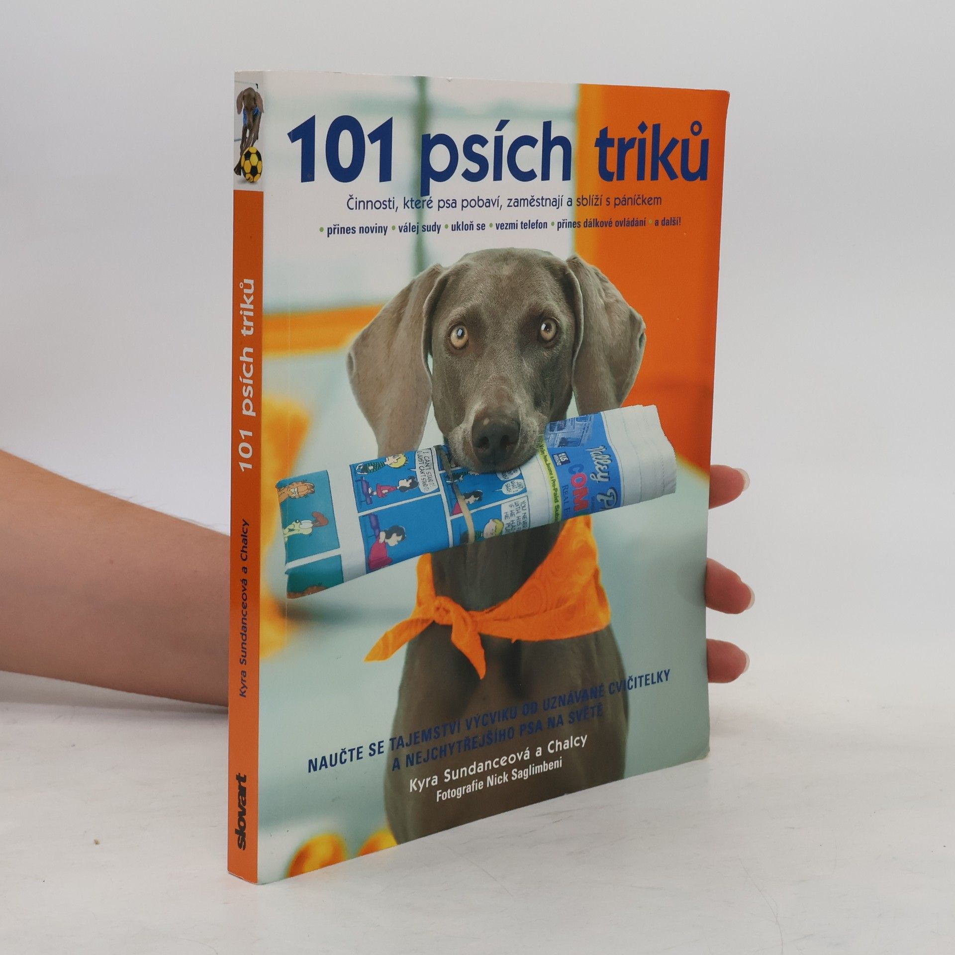 101 psích triků : činnosti, které psa pobaví, zaměstnají a sblíží s páníčkem - krok za krokem