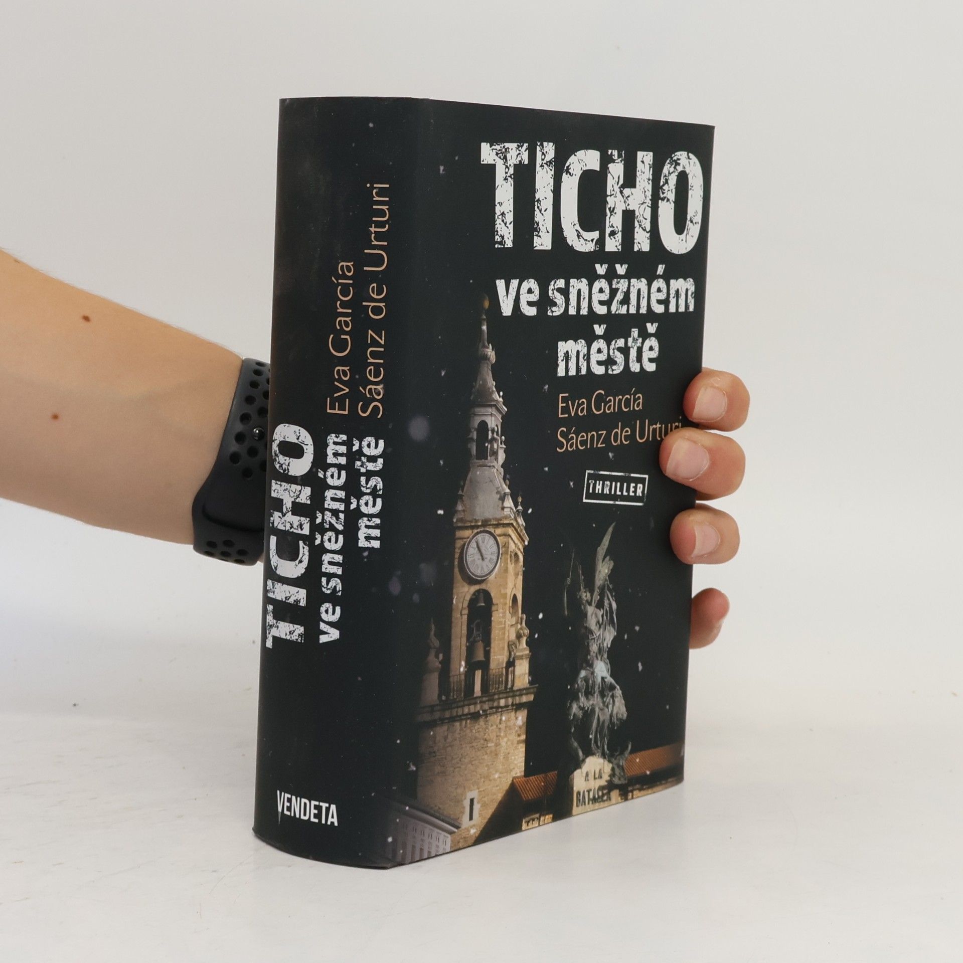 Eva García Sáenz Ticho ve sněžném městě