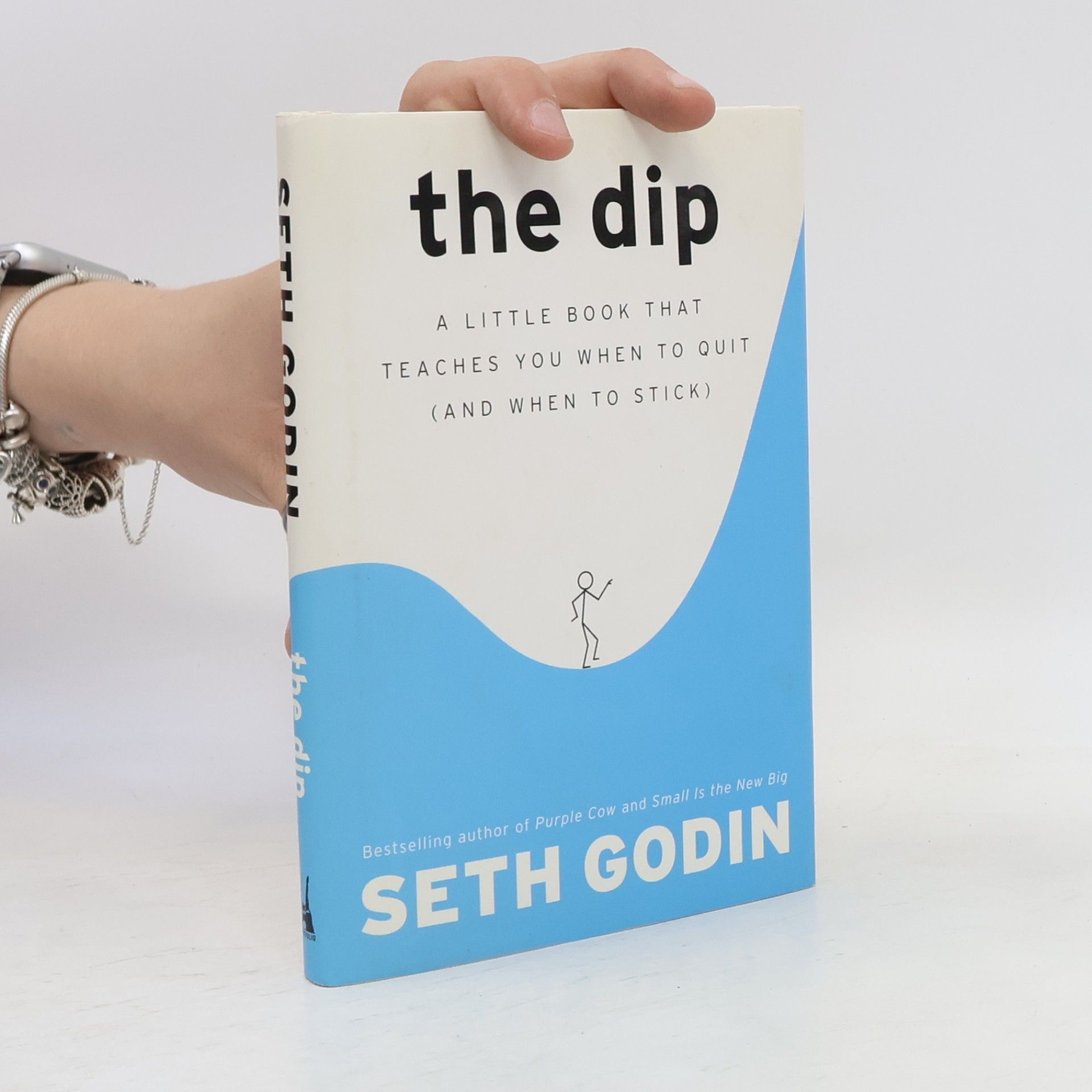Seth Godin The Dip