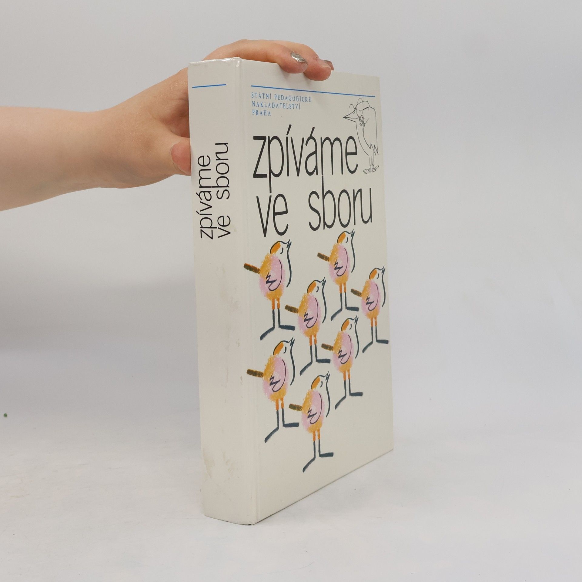 Zpíváme ve sboru