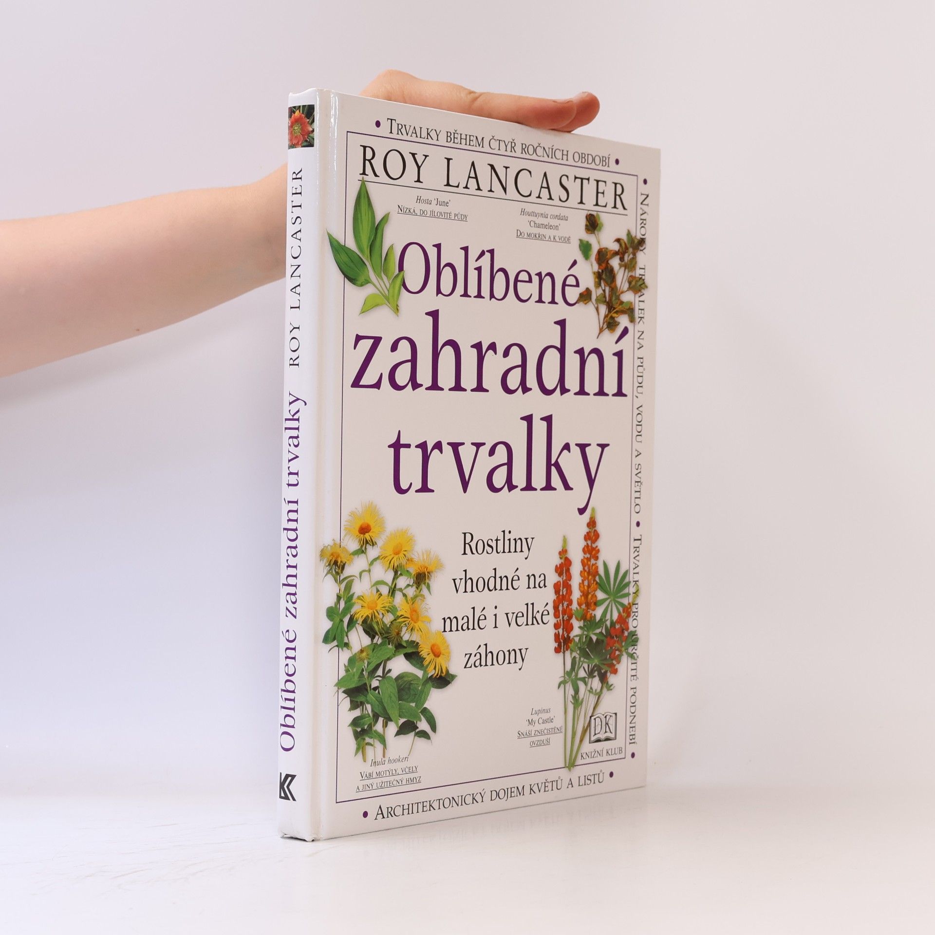 Oblíbené zahradní trvalky