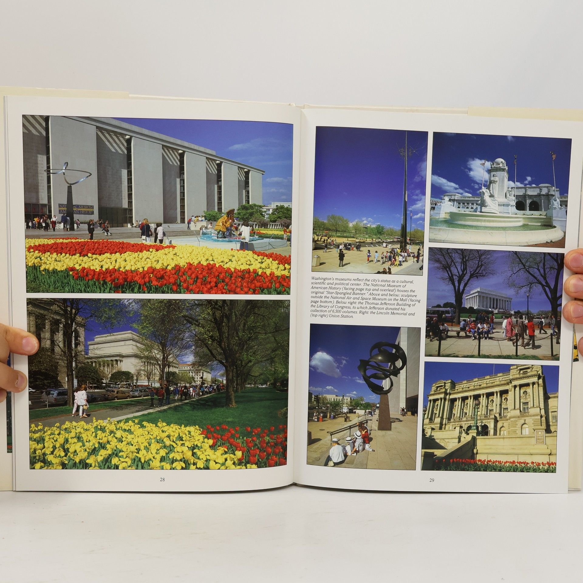 Bill Harris Washington, D.C. A picture memory