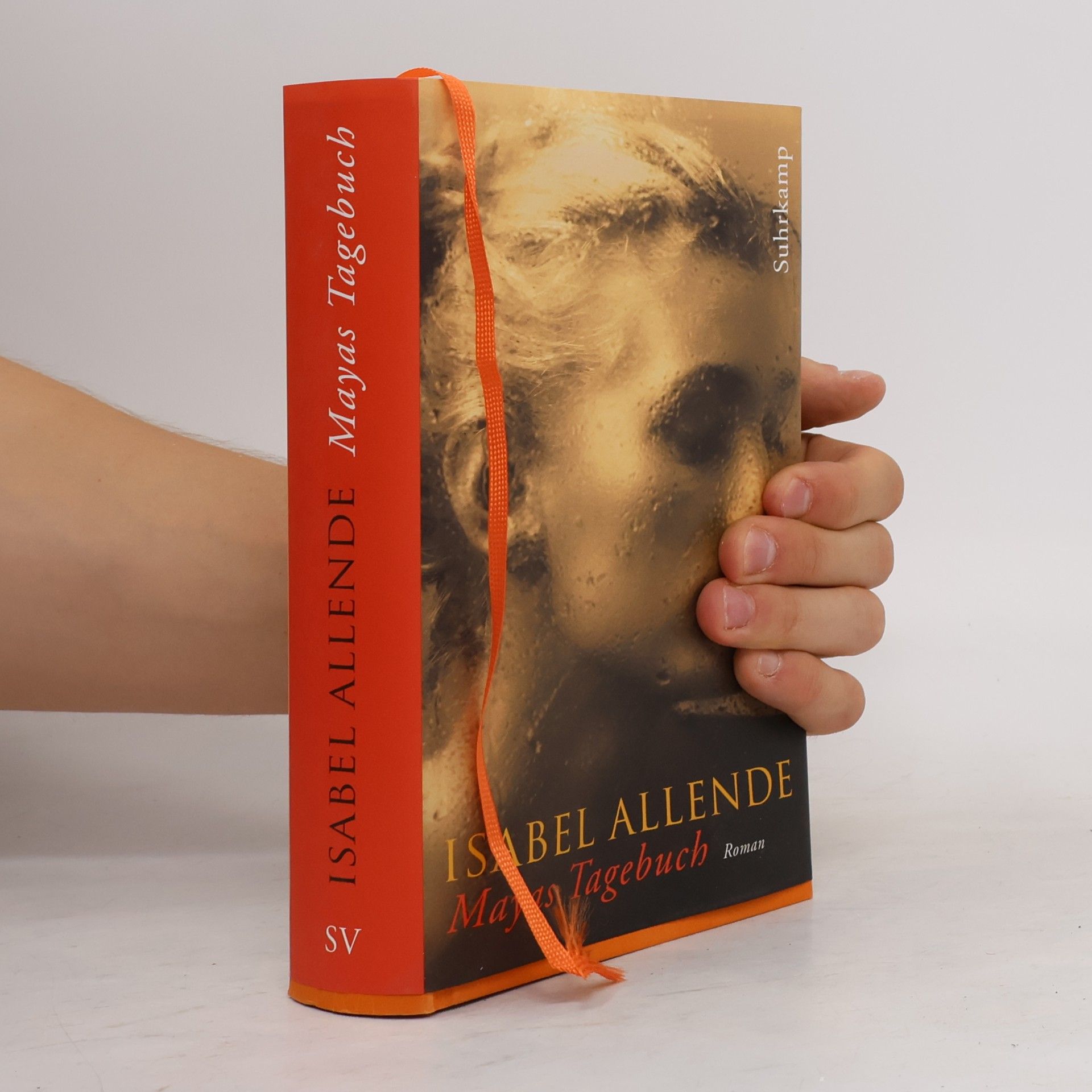 Isabel Allende Mayas Tagebuch. Roman