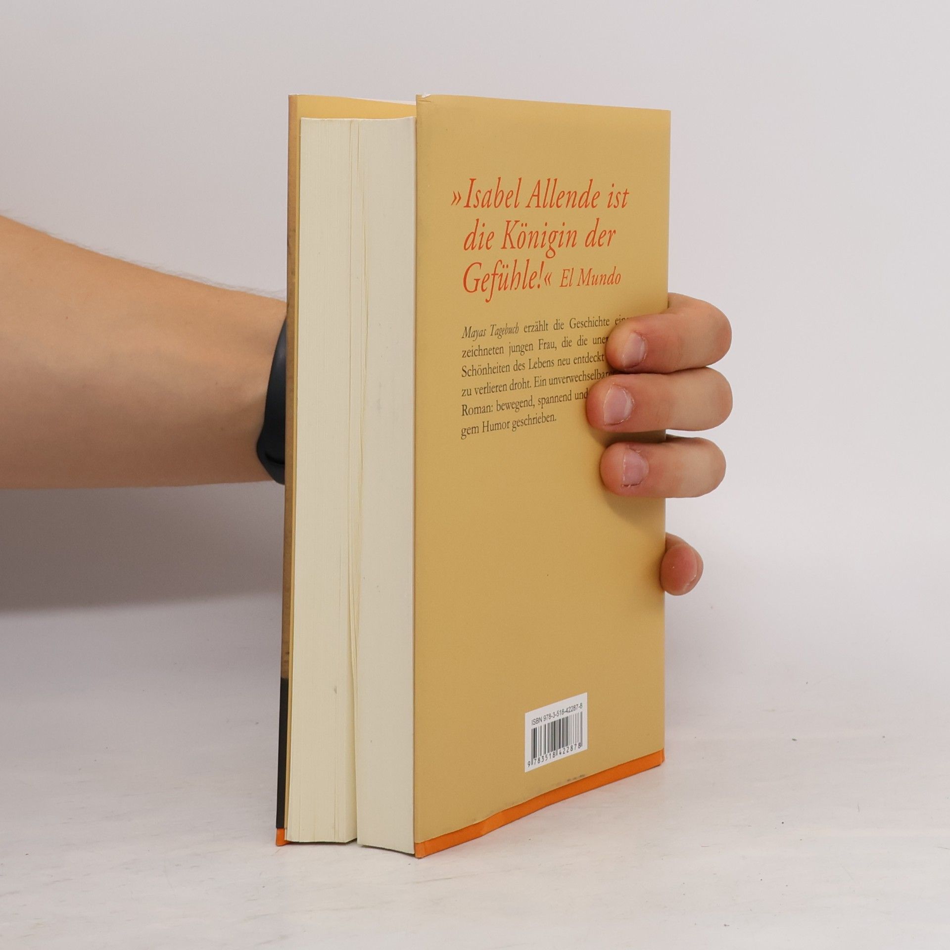 Isabel Allende Mayas Tagebuch. Roman